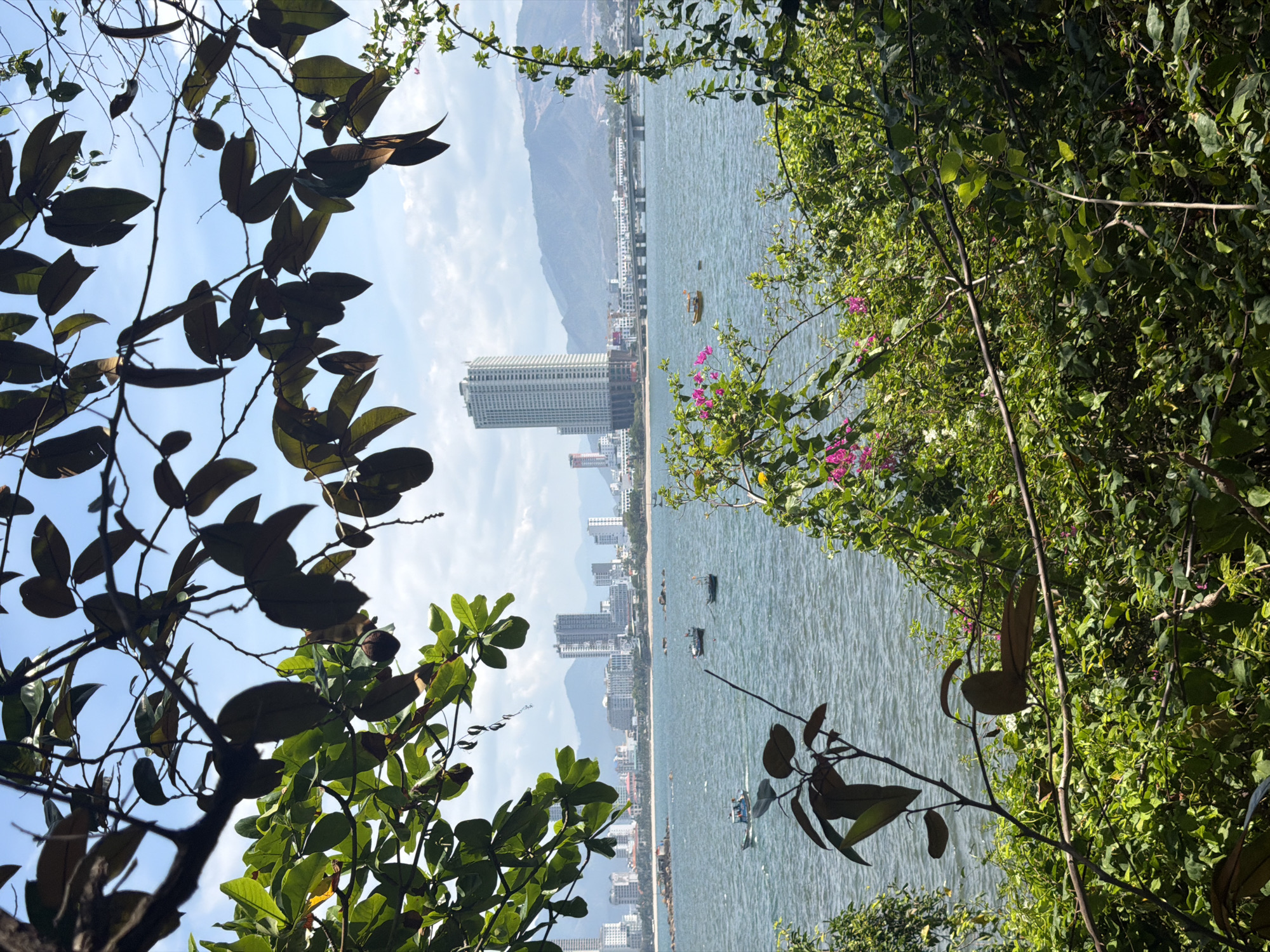This image presents a scenic view of the coastline in Bac Nha Trang Ward, Vietnam. The foreground is dominated by lush green foliage and branches, with some leaves silhouetted against the bright, partly cloudy sky. These branches partially frame the view of the sea and the city beyond. The sea is a tranquil blue, with gentle waves visible. Several small boats, appearing to be fishing vessels, are scattered across the water. In the distance, a sprawling cityscape lines the coast, characterized by numerous buildings of varying heights, including a prominent tall, modern skyscraper. Further inland, mountains rise against the horizon, adding depth to the landscape. The overall impression is one of a coastal urban environment embraced by nature.