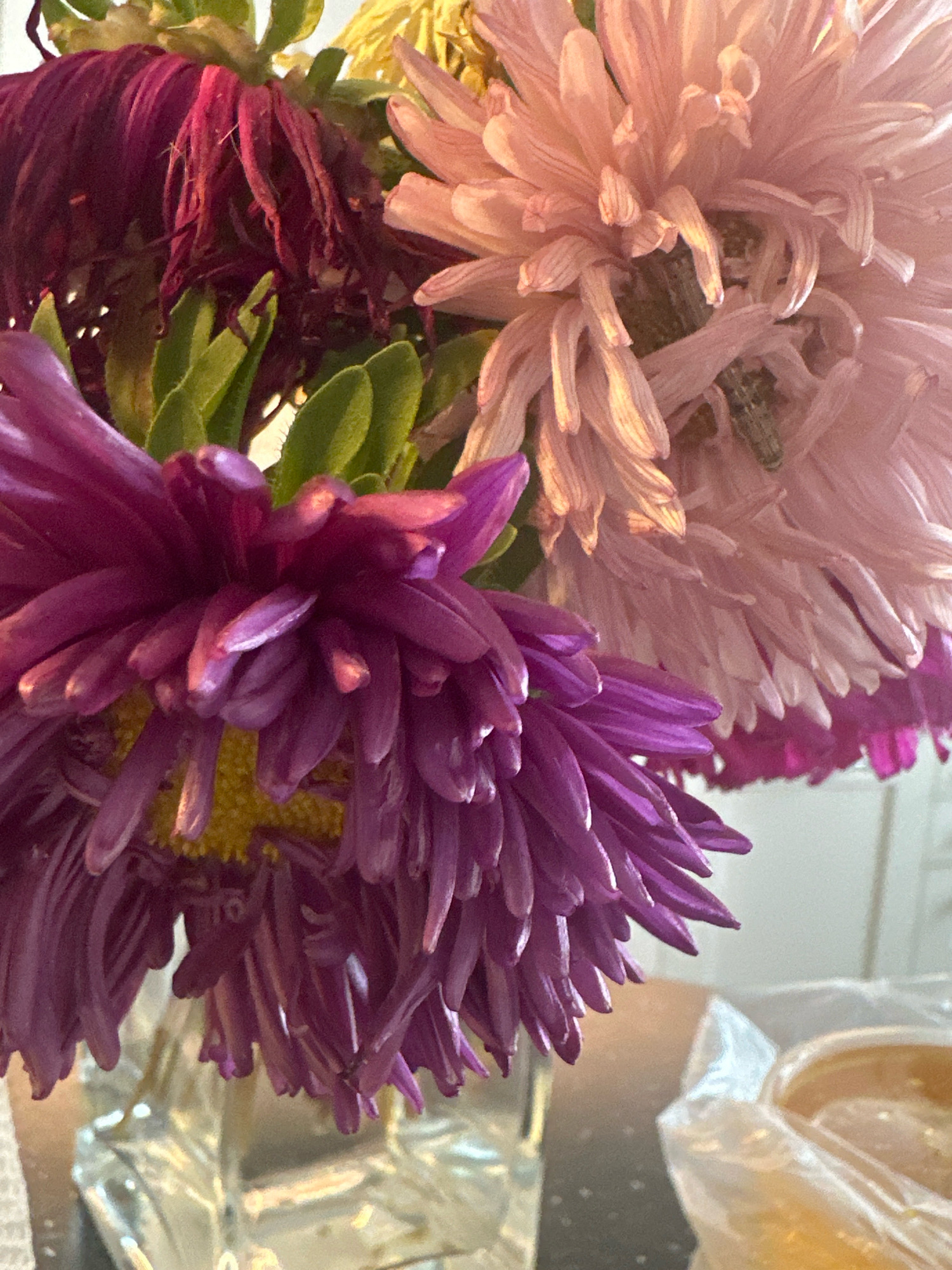 The image displays a close-up of a bouquet of aster flowers in varying shades of pink and purple. The flowers are in a clear glass vase. The background is out of focus and appears to be an indoor setting with a light-colored wall and possibly a window. To the right of the vase, there is a clear plastic bag containing an orange substance, possibly food. There are no people or animals visible in the image. The lighting suggests it is daytime. The location in Nevinnomyssk, Russia, is not discernible from the visual content of the image.