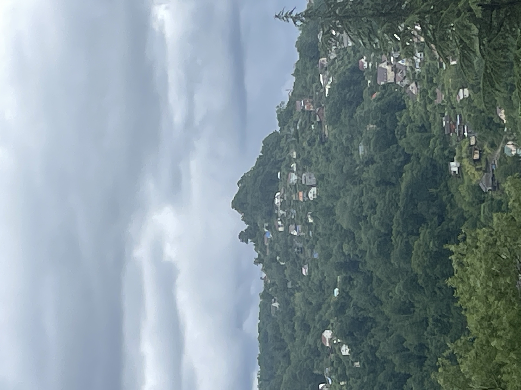 The image shows a hillside with houses nestled among dense green vegetation under an overcast sky. The houses are of varying sizes and colors, mostly with light-colored walls and roofs. The vegetation is primarily trees and bushes, covering the hillside densely. The sky is gray with heavy cloud cover, indicating possible rain. The location is Baranovka, Russia, as requested.