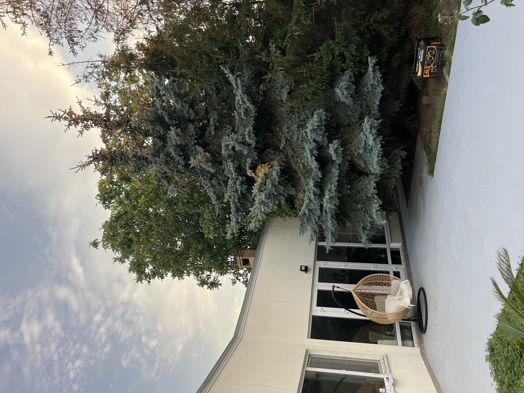 The image shows a backyard scene in Fontanka, Ukraine. A light-colored building with large glass doors and windows is partially visible on the left. In front of the building is a light gray patio. A hanging rattan chair with cushions and a blanket is placed on the patio. Several large evergreen trees, including a prominent blue spruce, are situated in the background. To the right, on the grass, is a portable generator. The sky above is partly cloudy with a soft, diffused light, suggesting it is either early morning or late afternoon.