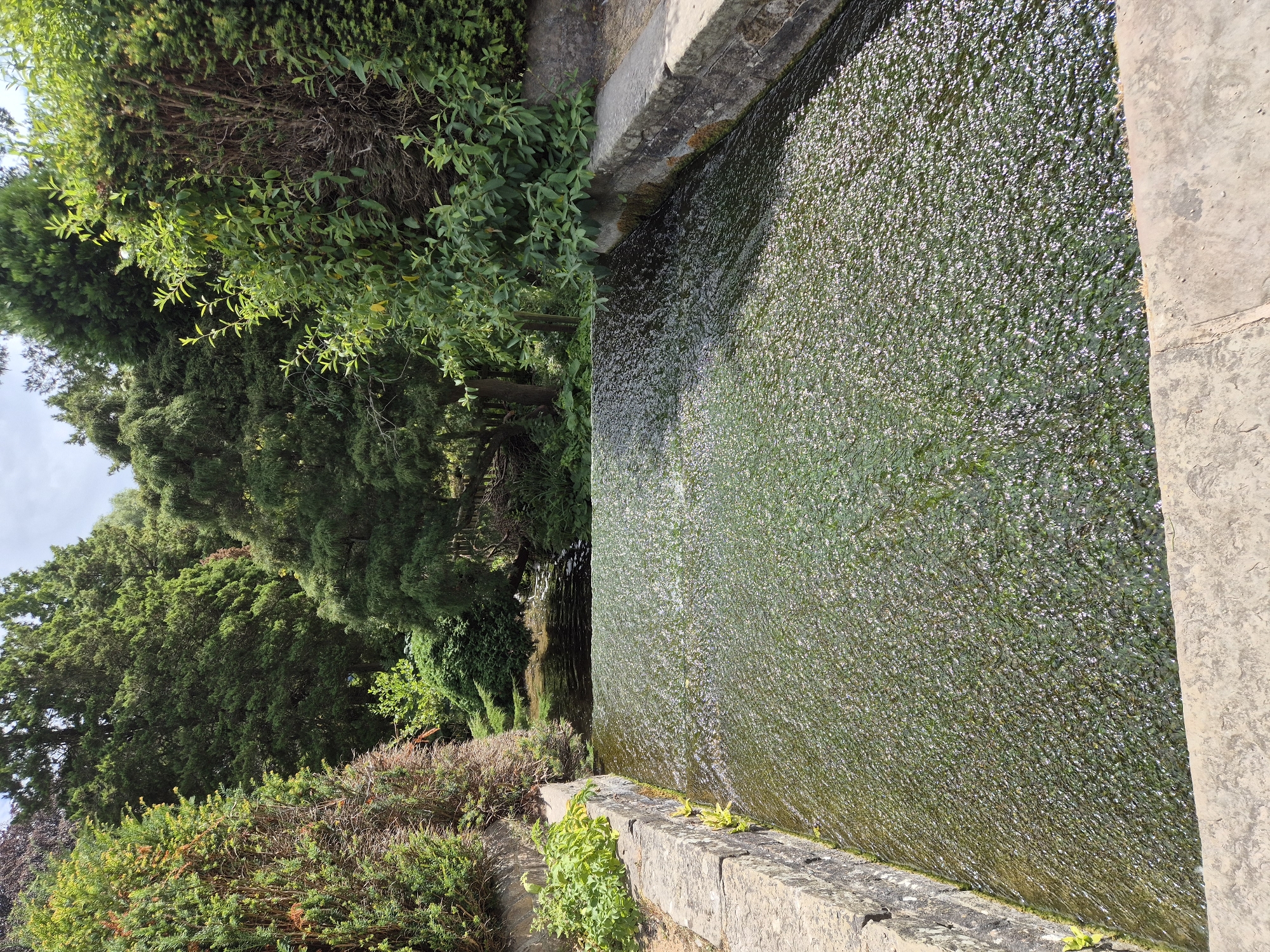 The image shows a wide, shallow waterfall or weir in a park setting. The water is dark green and appears to be covered with algae or aquatic plants, creating a textured surface. The weir is constructed of rough-hewn stone blocks, forming the edges of the water channel. Lush green trees and dense foliage line the banks of the watercourse, with sunlight filtering through the leaves. The sky is partly cloudy. The scene is tranquil and appears to be a natural feature within a landscaped area, likely part of the parkland in Gedling, United Kingdom. There are no people or animals visible in the image.