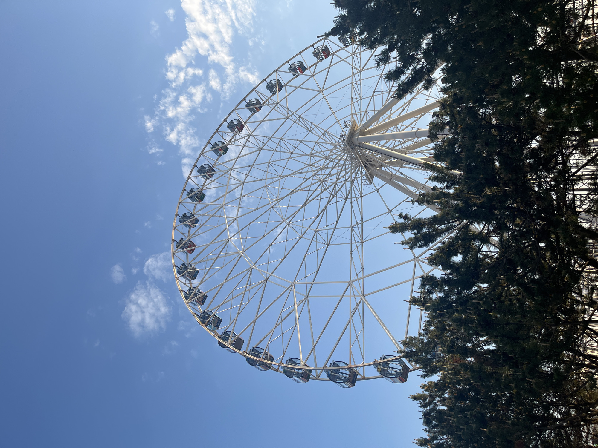 The image presents a view of the Kazan Riviera Ferris Wheel in Kazan, Russia. The Ferris wheel is predominantly white, with enclosed passenger cars featuring a dark blue trim. Some cars have a red accent color on top. The Ferris wheel is positioned against a blue sky with scattered white clouds. A portion of a tree with dark green foliage occupies the right side of the frame, partially obscuring the Ferris wheel. The perspective is from below, looking upwards. No people are visible. The scene suggests a clear, sunny day.