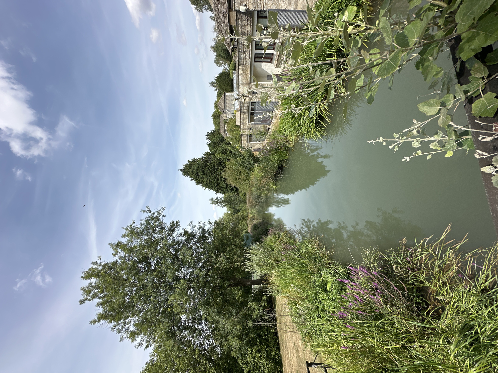 A canal runs through a verdant landscape with buildings on the right bank. The water is a murky green, reflecting the sky and surrounding trees. Lush green vegetation and some purple flowers line the left bank. A large tree stands prominently on the left side of the frame, casting a shadow on the dry grass below. On the right bank, a stone building with large windows and a tiled roof is visible, with more buildings and trees in the background. The sky is blue with scattered white clouds. There are no people or animals visible in the image. The scene appears to be an outdoor environment with a mix of natural and man-made elements.