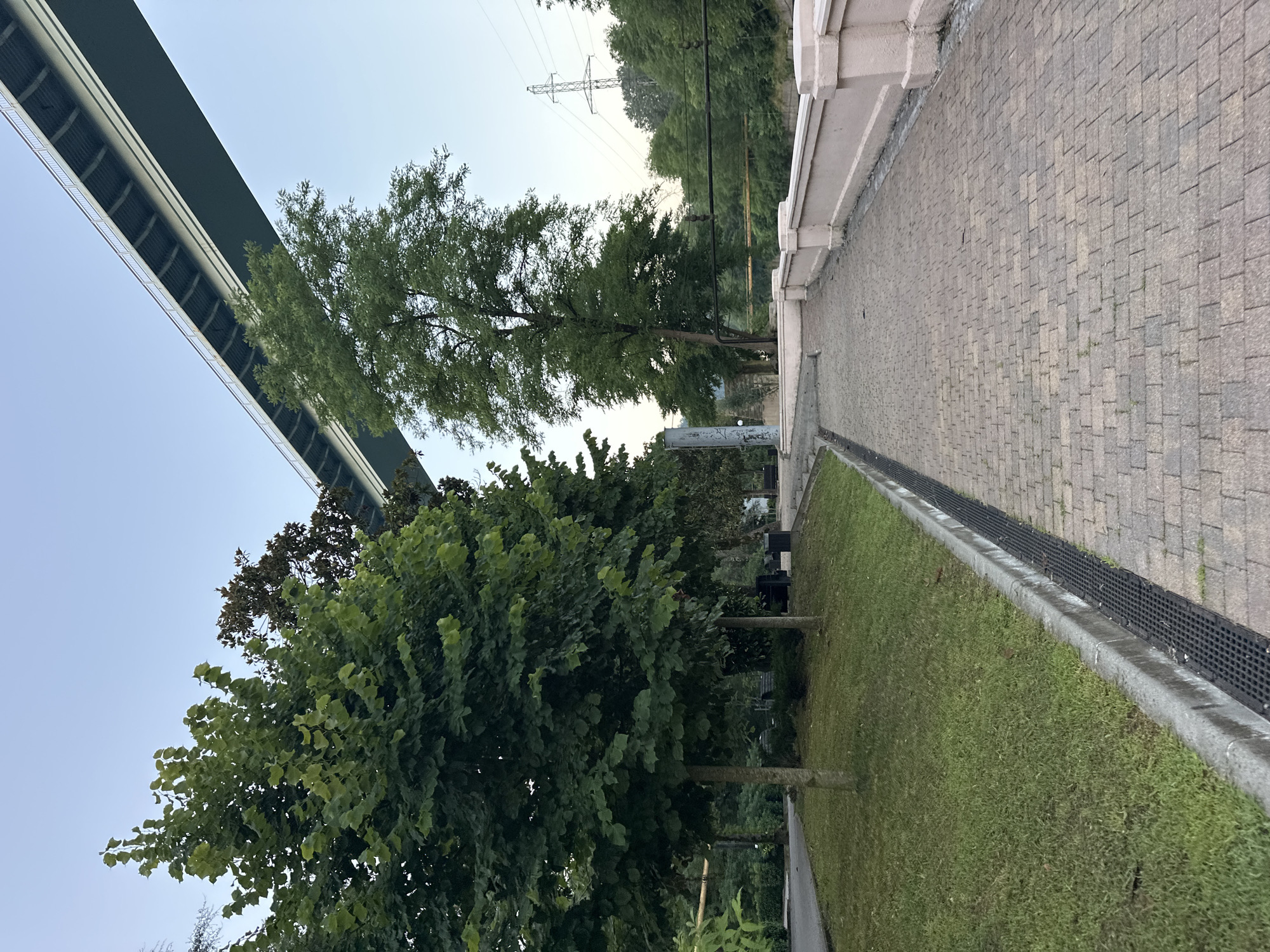 A paved walkway lined with a pink balustrade runs along the foreground, curving to the right. The walkway is made of small, rectangular bricks. To the left of the walkway, a strip of grass is bordered by a concrete curb and a metal grate. Beyond the grass, several trees with lush green foliage are visible. In the background, a large bridge spans across the scene, with its underside and supporting structure clearly visible. The sky is a pale blue. In the far distance, a power transmission tower can be seen above a line of trees. The overall impression is an outdoor public space, possibly a park or promenade, under a large bridge. This scene is located in Sochi, Russia, likely near the Art-Aval exhibition center, given the presence of a bridge of similar design and proximity to the city's infrastructure.