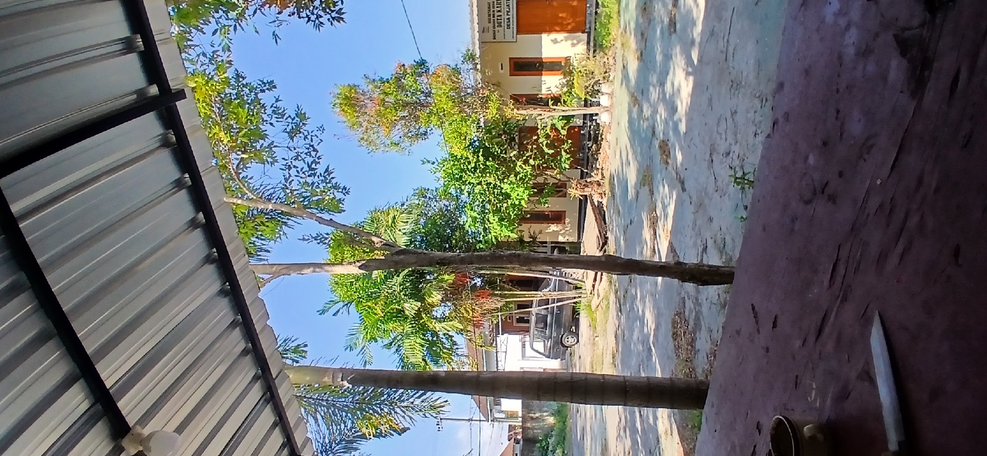 The image captures an outdoor scene, likely in a rural or suburban area, with a building and vegetation. The foreground features a dark, textured surface, possibly a table or bench, with a ceramic mug and a knife resting on it. Beyond this, a paved area is visible, with scattered debris and shadows cast by trees. A dark-colored SUV is parked in the middle ground.
Several trees are present, including palm trees on the left and other deciduous trees with green foliage scattered throughout. In the background, a light-colored building with orange-trimmed windows and doors stands under a clear blue sky. A sign on the building, partially legible, appears to indicate an official location. Based on the text on the sign, the location is identified as "DESA PEJATEN" (Pejaten Village), suggesting the scene is situated in Pejaten, Indonesia. The overall environment suggests a daytime setting with bright sunlight.