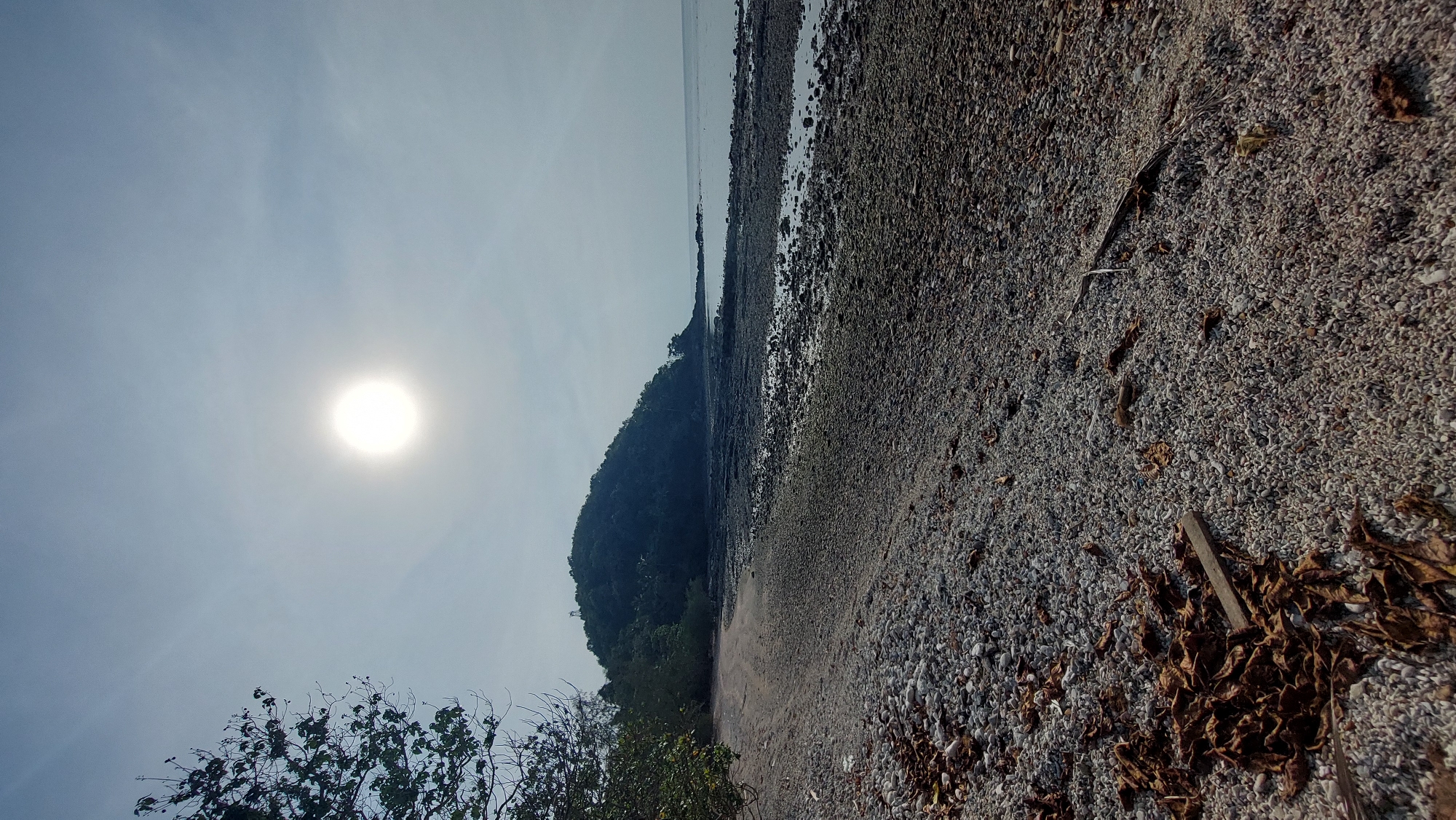 The image captures a coastal scene with a focus on a beach area composed of small pebbles and scattered dead leaves. The shoreline extends along the right side of the frame, meeting a body of water that stretches into the distance. A densely vegetated hill rises on the left side, partially obscuring the horizon. The sky is bright with a prominent sun, positioned towards the left of the image. The location is Unknown, Unknown.