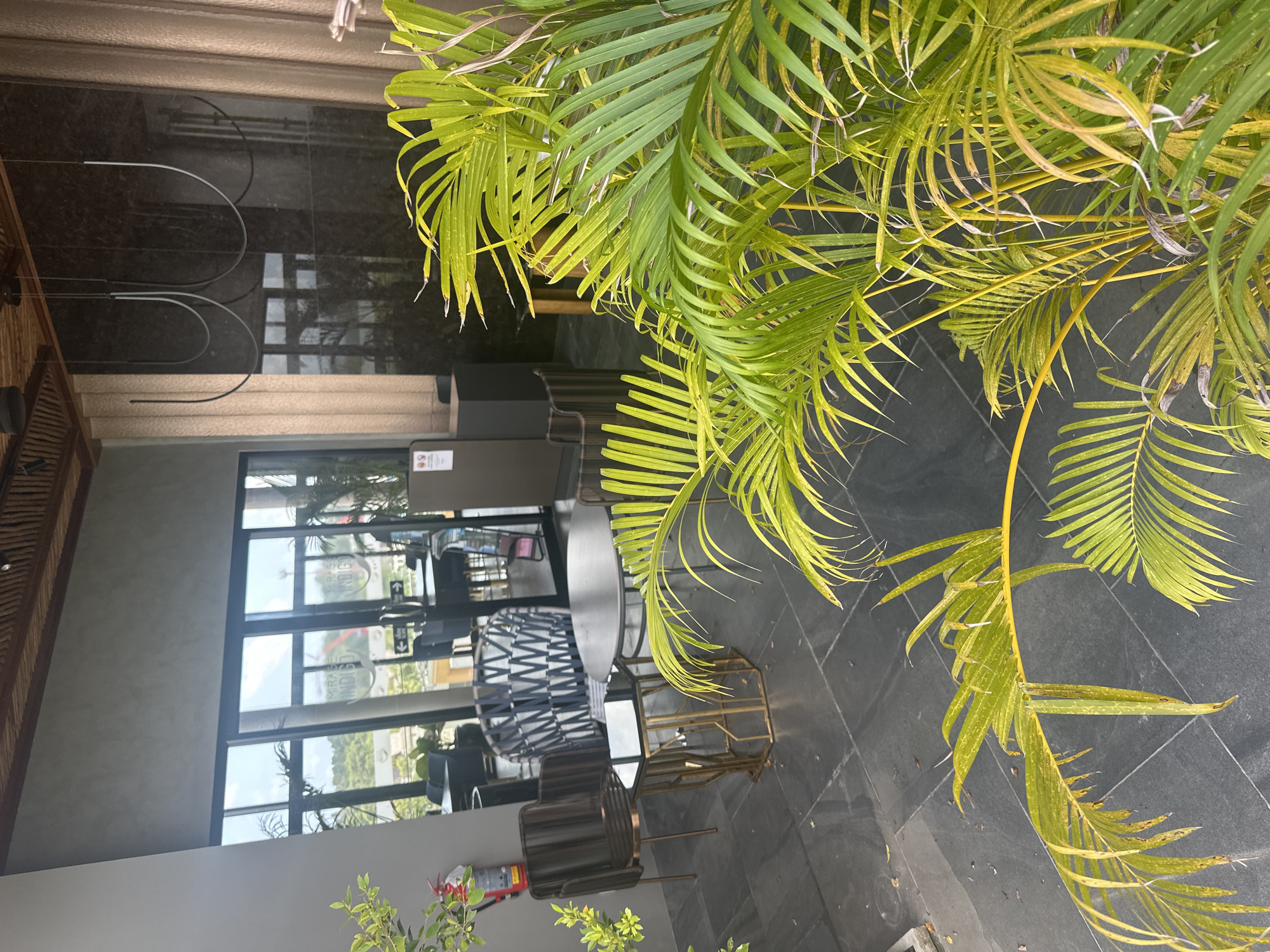 An outdoor seating area adjacent to a building with large glass doors is visible. In the foreground, lush green palm fronds obscure part of the view. The seating area features dark gray tiled flooring. Two chairs with woven backs and seats are positioned near a small, hexagonal metallic side table with a reflective top. A larger, round table with a dark top sits behind the side table, accompanied by another chair. Further back, through the glass doors, glimpses of interior seating and tables are visible. The building's facade includes a large window, a textured wall, and a wooden ceiling with visible beams. A fire extinguisher is mounted on the wall to the left. The overall scene suggests an outdoor lounge or cafe area.