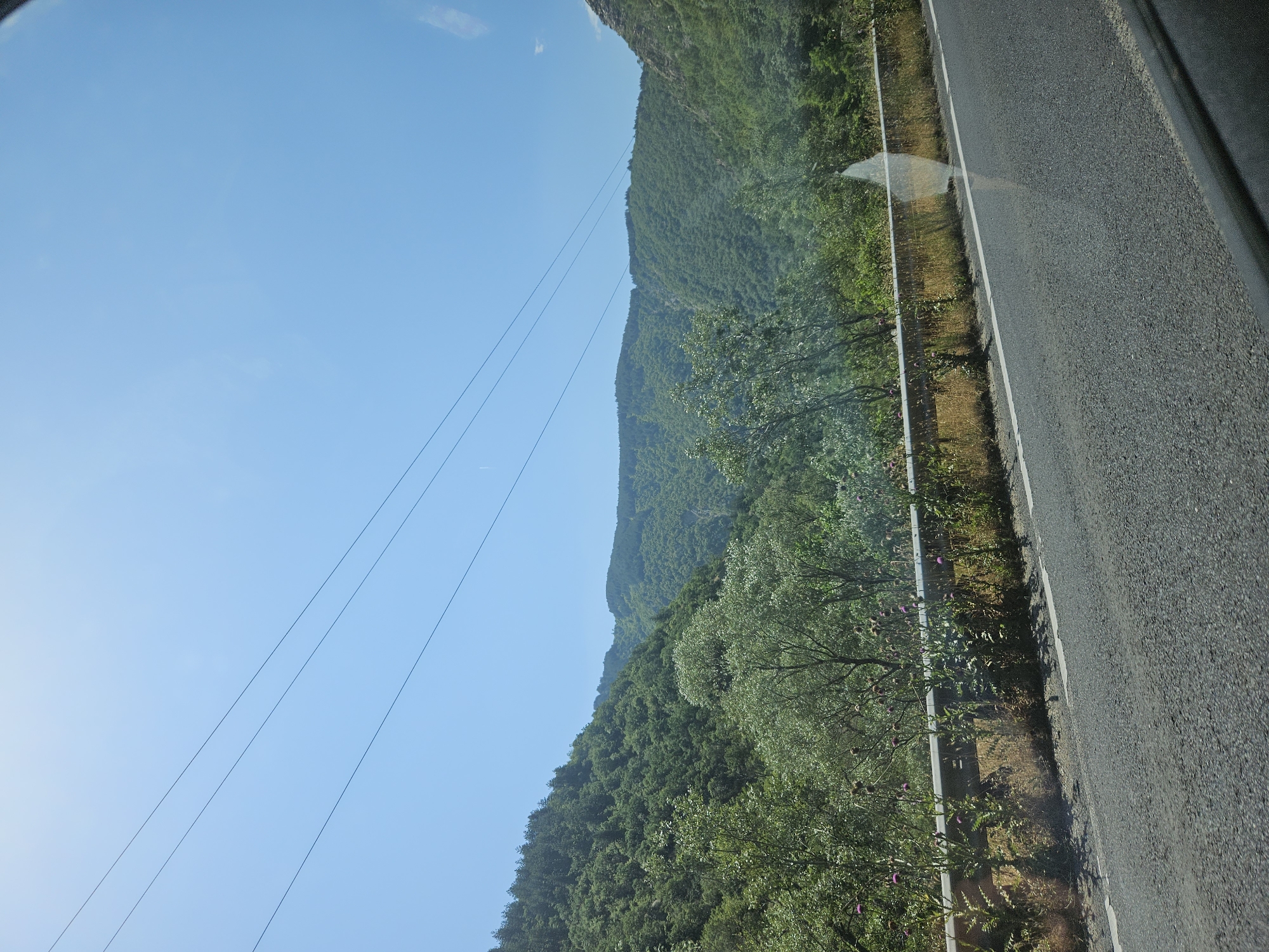 The image depicts a sunlit, mountainous landscape in Stara Kresna, Bulgaria, viewed from inside a vehicle. The upper portion of the frame is dominated by a clear, vibrant blue sky, bisected diagonally by three parallel, dark overhead power lines running from upper left to lower right. Below the sky, heavily forested mountains rise steeply, covered in dense, lush green vegetation. In the foreground, an asphalt road is visible, marked by a continuous white line on its right edge. A metal guardrail runs parallel to the road, beyond which an embankment supports dry grass and numerous thistle plants with purple blossoms. A dark car window frame is partially visible in the lower right corner, and a soft, irregular reflection or glare is present on the window surface in the same area. No people or other vehicles are present in the scene.
