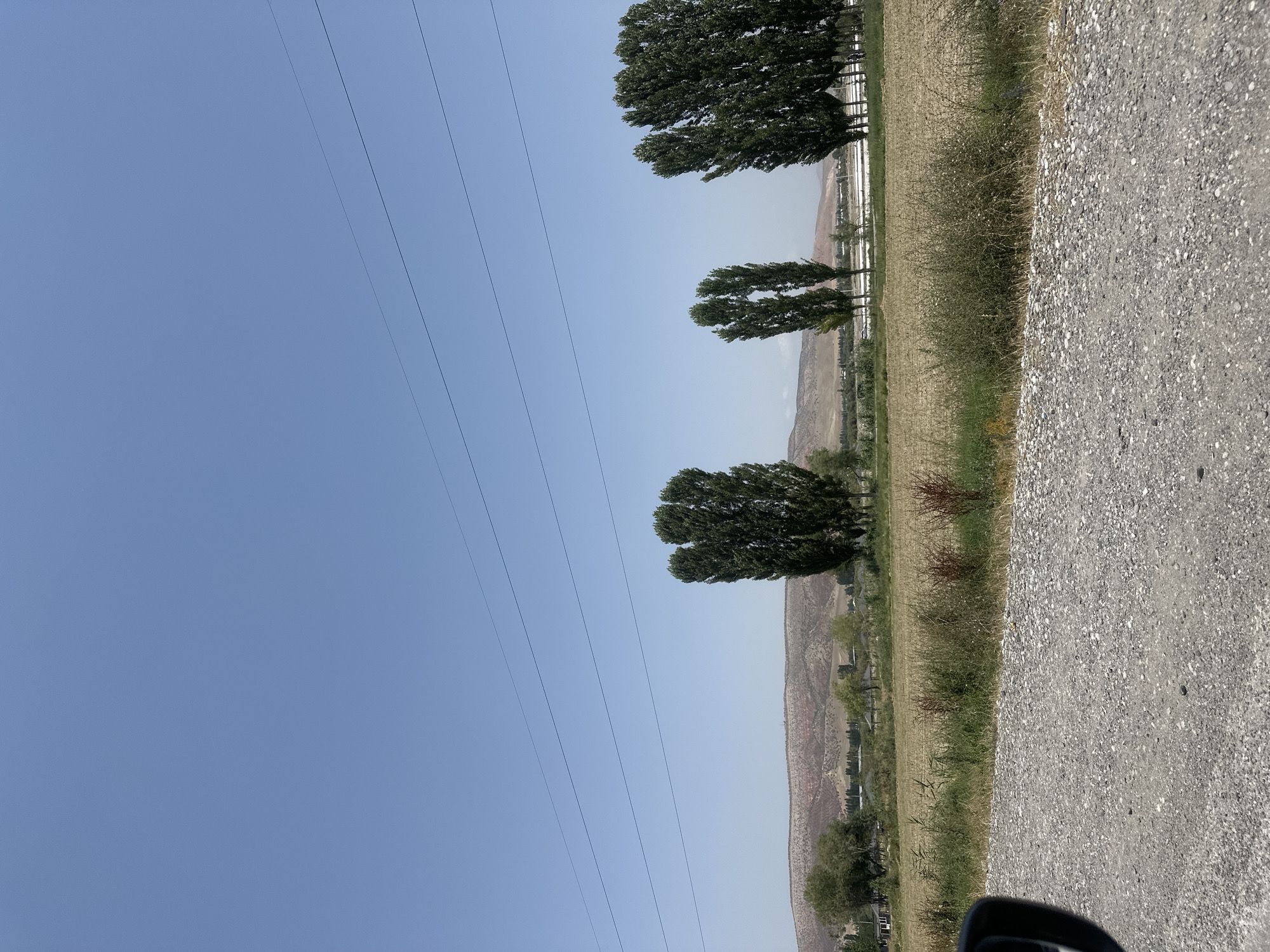 The image depicts a roadside view in Kumush-Aziz, Kyrgyzstan. In the foreground, a gravel road is visible on the right side, with a portion of a car's side mirror on the left. Beyond the road is a field of dry grass and sparse vegetation. Several tall, slender trees with dense green foliage stand in a line across the middle ground, interspersed with smaller trees and the roofs of buildings. In the background, rolling hills with a reddish-brown hue rise against a clear blue sky. Three thin, dark power lines are strung horizontally across the upper portion of the image. The overall scene suggests a rural or semi-rural landscape under a bright, sunny sky.