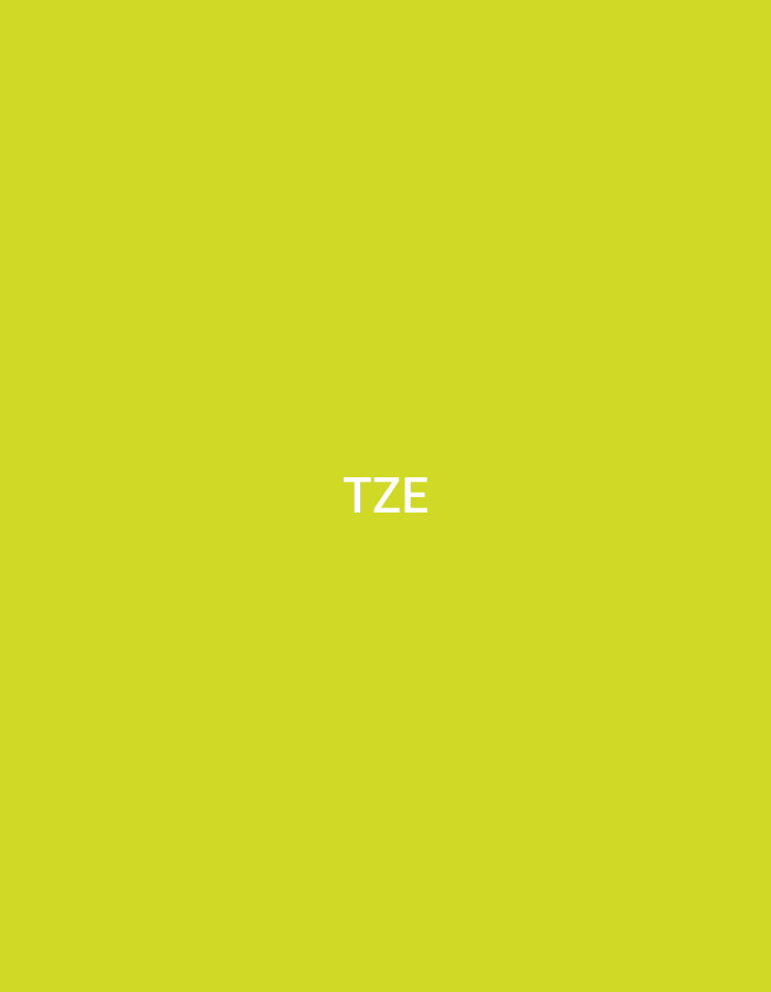The image features a solid, uniform chartreuse background. Centered horizontally in the lower-middle section of the frame are the three uppercase letters "TZE," rendered in white, sans-serif typography. No other subjects, objects, or environmental details are present. This graphical representation is situated in Casablanca, Morocco.
