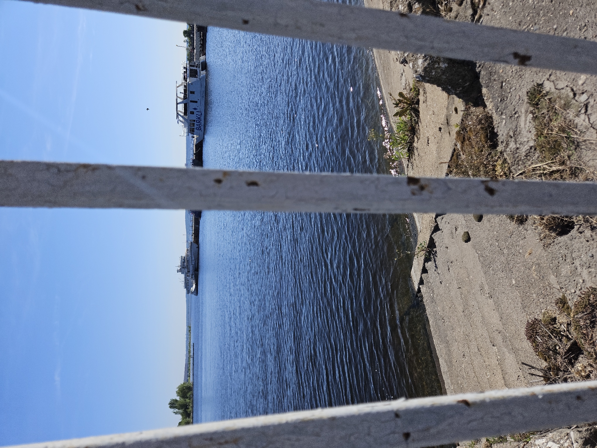A sunny day is depicted at the Volga River embankment in Ulyanovsk, Russia. The foreground is dominated by a white, rusty metal fence, partially obscuring the view of the water. Beyond the fence, the river stretches out under a clear blue sky. Two white boats are visible on the water. One, a larger vessel, is docked on the right side of the image, with the name "BARKLI" visible on its side. Further in the distance, on the left, another, smaller white boat is also docked. The riverbank in the foreground consists of concrete steps and a sandy area with sparse vegetation. The scene appears peaceful, with no people actively engaged in any visible activity.