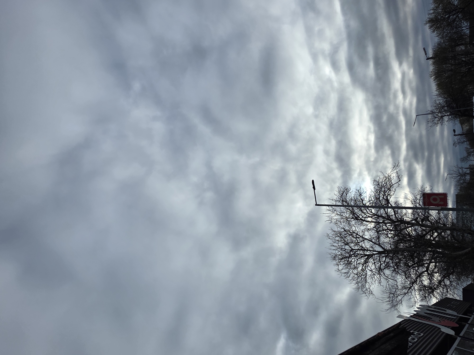 The image shows a view toward the sky with layered, striated clouds filling most of the frame. In the lower right quadrant, there is a leafless tree silhouetted against the sky. A street lamp extends vertically in front of the tree. Behind the tree, a red sign is visible. Parts of a building are visible at the bottom of the frame. Based on the sign with the logo, the location appears to be near a restaurant in Plovdiv, Bulgaria.