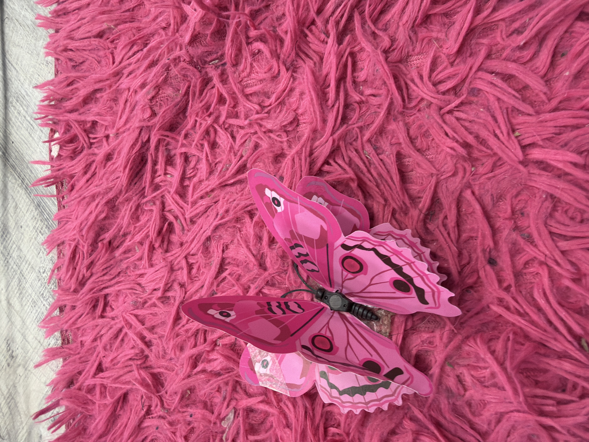 A close-up, overhead shot shows a bright pink, shaggy rug. Two pink paper butterflies are positioned on the rug, with one larger butterfly in the foreground and a smaller one partially visible behind it. The larger butterfly is mostly pink with black markings and details on its wings and body. The rug has a textured, fluffy appearance with visible strands of pink material. The background consists of a light-colored wooden surface, possibly a table or floor, separated from the rug by a thin line of fabric. There is no indication of a specific location in Kyiv, Ukraine.