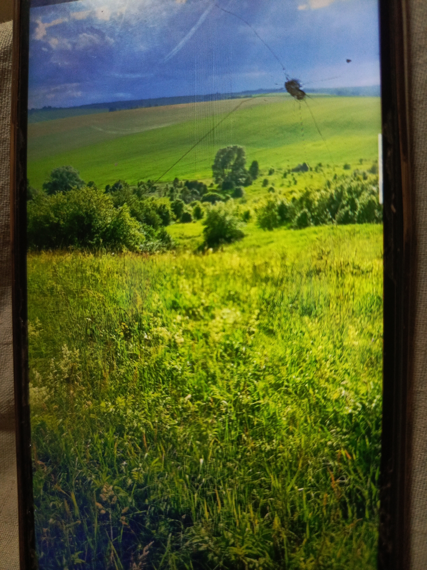 This image depicts a landscape scene on a screen, possibly a smartphone, which exhibits cracks. The scene itself is a vibrant green field under a dramatic sky with clouds. In the foreground, there is tall, lush grass, and further in the background, rolling hills are visible, dotted with trees and what appear to be cultivated fields. The sky is a mix of dark blue and white clouds, suggesting a dynamic weather condition. There are no people or specific urban features visible that would indicate the location as Svoboda, Russia, or any other specific city. The image appears to be a photograph of a natural landscape.