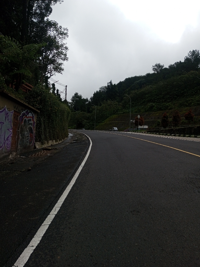 This image depicts a paved road curving to the right through a mountainous, heavily forested area in Bangtsho, Bhutan, under an overcast sky. The road surface is dark asphalt, appearing damp in sections, and features a solid white line defining the left shoulder and a dashed yellow center line further ahead.
On the immediate left, a concrete retaining wall is visible, marked with various graffiti in purple, red, and black. Behind this wall, dense green vegetation, including bushes and mature trees, ascends a steep embankment. Utility poles and overhead wires are discernible amidst the trees on this side.
To the right of the road, a steep hillside covered in dense green foliage, primarily evergreen trees and undergrowth, rises. The road edge on this side is bordered by segmented black and white barriers. Multiple streetlights with white poles are spaced along this section. In the midground, a small white utility pickup truck is visible on the far side of the road, partially obscured by the curve and roadside vegetation. A circular traffic sign is also present near the truck.
The sky is uniformly light grey, indicating overcast conditions, and the scene is lit by diffused natural light. No individuals are present in the image.