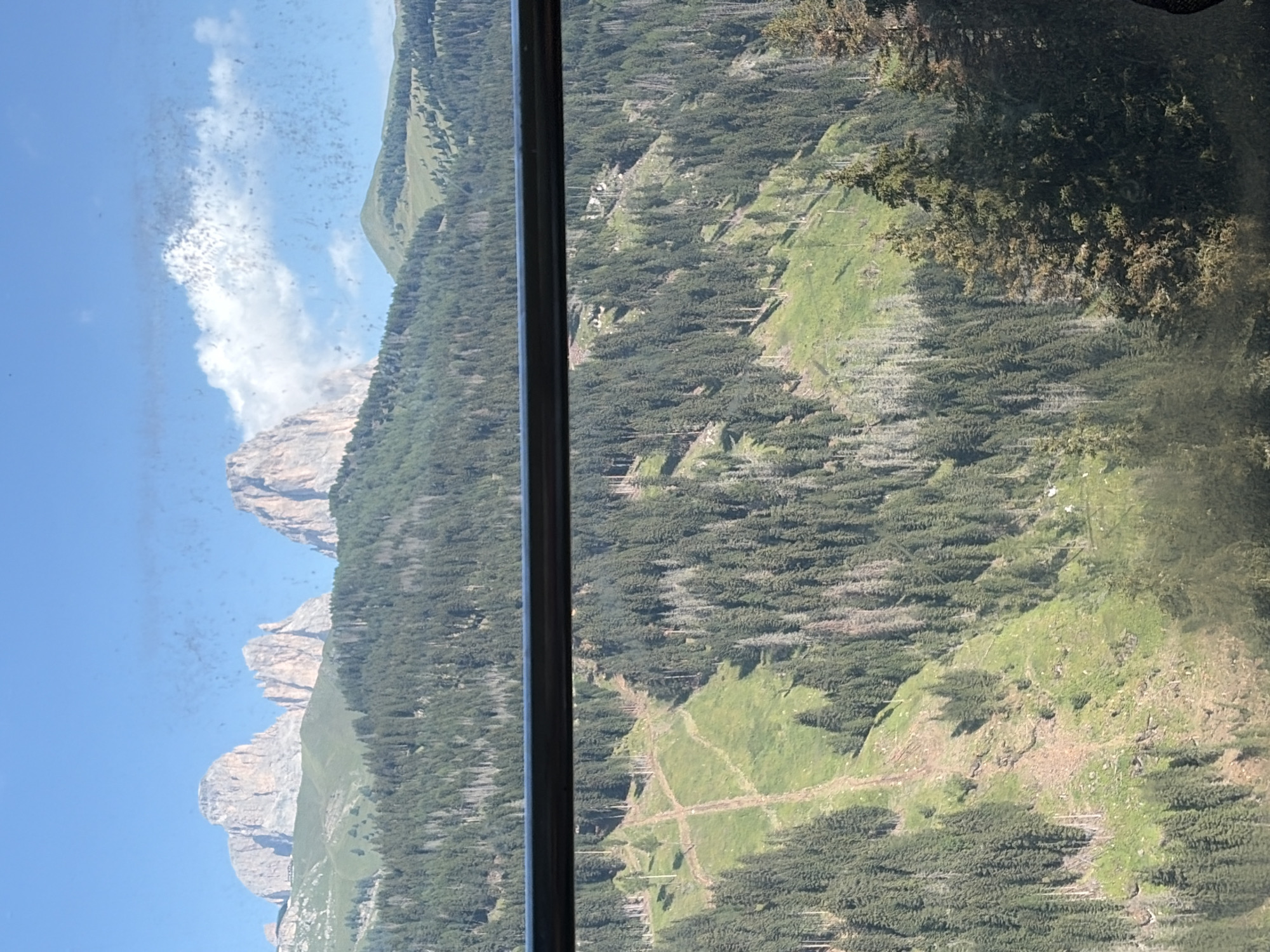 The image depicts a panoramic view of the Dolomites mountain range, likely near Canazei, Italy, characterized by towering, rocky peaks and lush green slopes covered in dense coniferous forests. A clear blue sky with a few wispy clouds serves as the backdrop. In the foreground, a dark, horizontal railing traverses the lower portion of the frame, suggesting the vantage point is from a cable car, balcony, or similar elevated structure. The mountains themselves show signs of erosion and ruggedness, with distinct geological formations visible on their faces. The slopes are dotted with trees, creating a textured, natural landscape. The lighting suggests it is daytime, possibly late morning or early afternoon, with the sun casting shadows that highlight the topography. The overall impression is one of natural grandeur and alpine scenery.