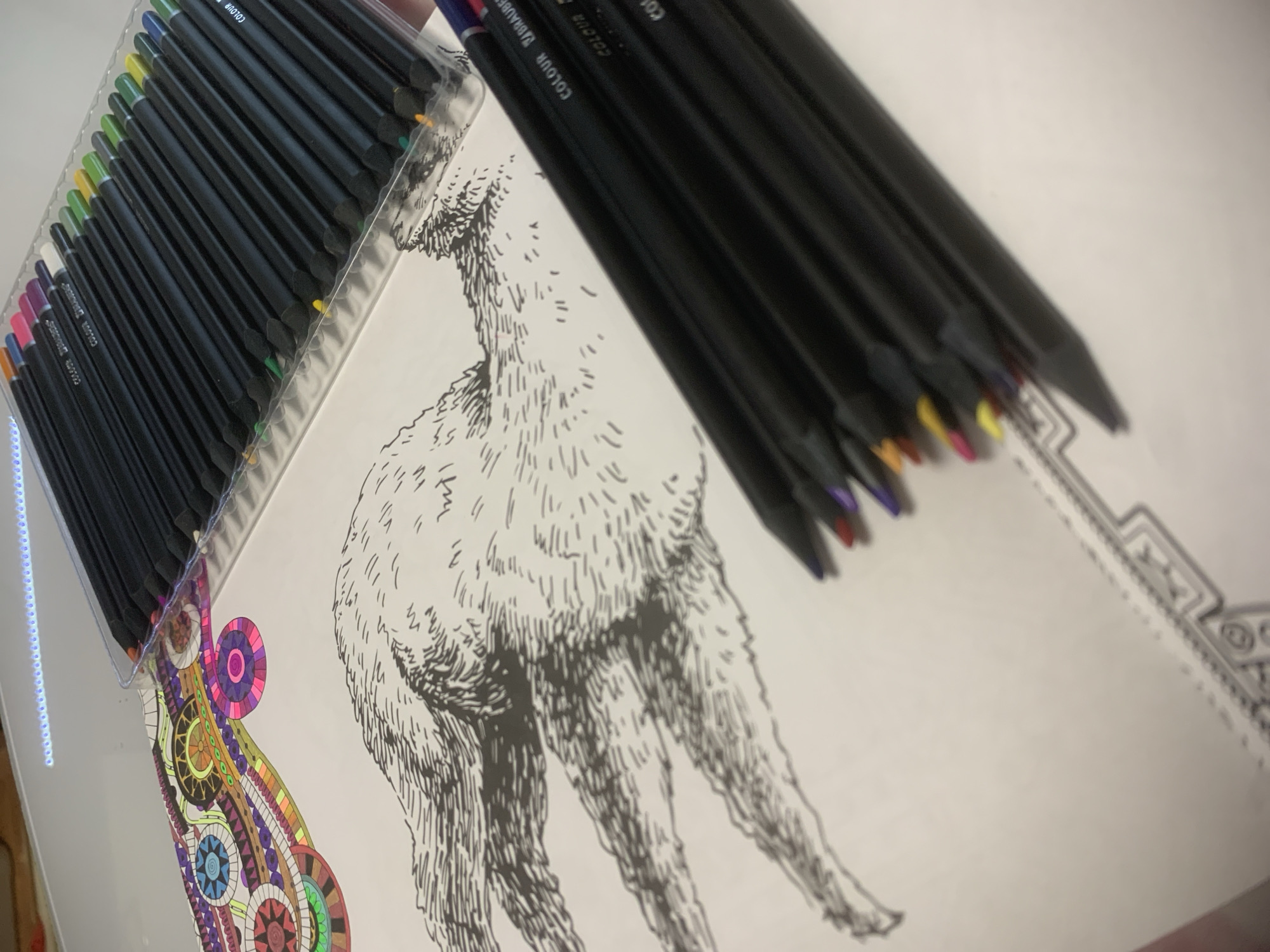 The image shows a coloring book page with a partially colored pattern and a line drawing of a llama. The page is positioned on a flat surface. A set of coloring pencils, packaged in a clear plastic case, sits to the left of the llama drawing, and a second set of pencils rests above the llama. The pencils are of various colors, but appear to have black casings. The branding on the pencils reads "COLOUR VIBRANCE". The photograph is taken at an angle, partially obscuring the lower portion of the page and the surrounding surface.
The location is not apparent from the image and cannot be determined to be Izhevsk, Russia or anywhere else.