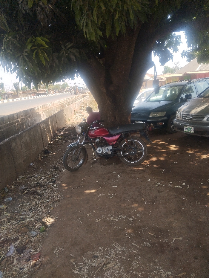 A red motorcycle is parked on a dirt ground under the canopy of a large, leafy tree. A person wearing a reddish top is seated or leaning against the tree trunk, partially obscured. To the right of the tree, two cars are parked: a dark-colored SUV and a lighter-colored sedan with Nigerian license plate "SNA-504-LF". To the left of the tree, a paved road or street runs parallel to a concrete barrier or drainage ditch. The ground in the foreground and under the tree is dirt, scattered with leaves, debris, and some small items. The scene is illuminated by sunlight, casting shadows. The location is an unconfirmed roadside area within Unguwan Rimi, Nigeria, characterized by both natural elements (tree) and urban infrastructure (road, vehicles, buildings in the distant background).