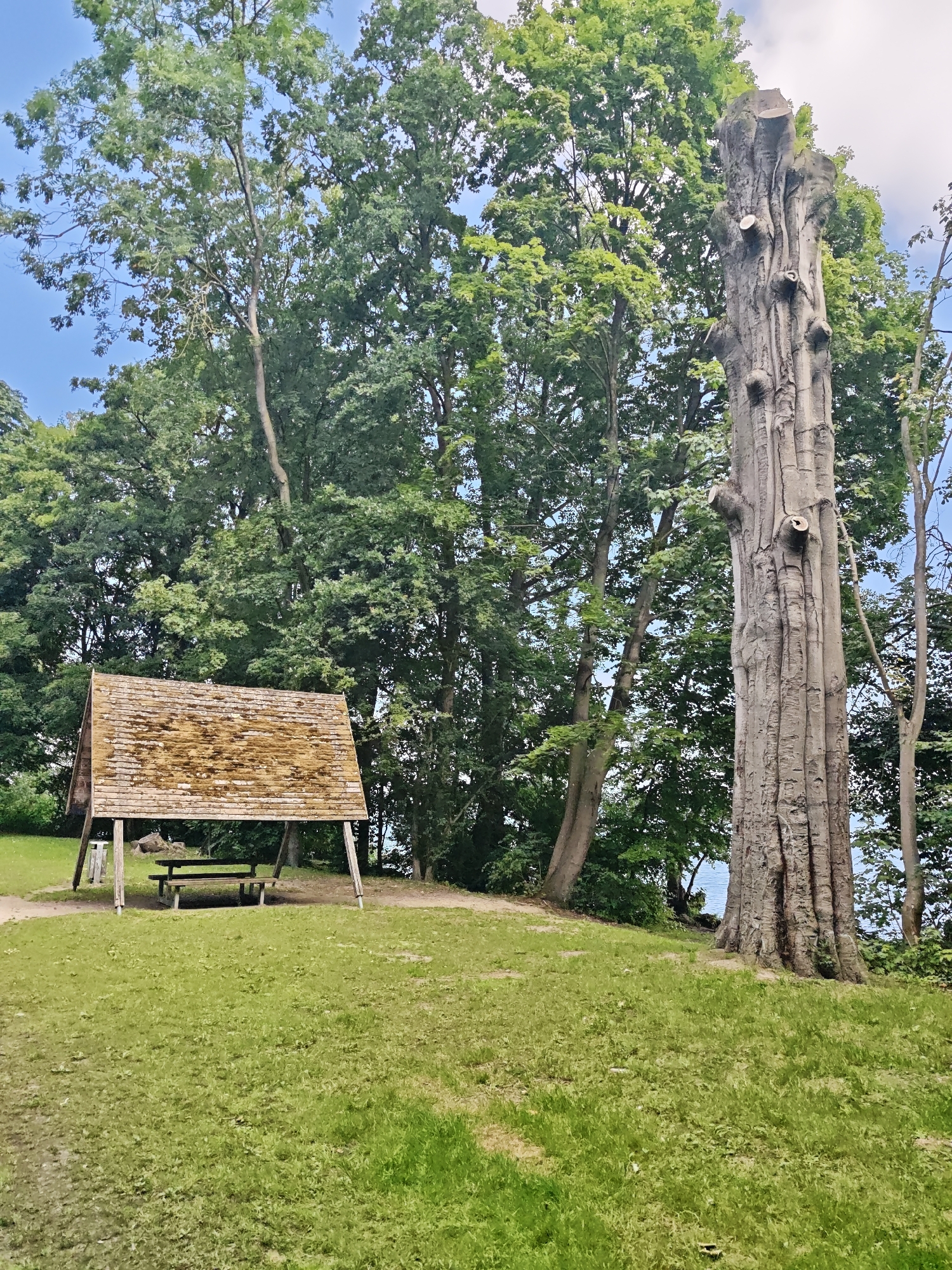A large, gnarled tree trunk stands prominently in the foreground on the right side of the image. The trunk is weathered and has a rough, textured bark, with several branches or stubs protruding from it. Behind the trunk, a dense canopy of green trees fills the background, with some lighter sky visible between the leaves.
To the left of the tree, a wooden picnic shelter with a sloped roof is set up. The roof appears to be made of wooden planks and shows signs of moss or weathering. Underneath the shelter, a wooden picnic table and benches are visible.
The ground in front of the shelter and around the tree is covered in green grass. A dirt path is visible leading towards the shelter. The scene appears to be a park or recreational area. The presence of a body of water is suggested in the distance, behind the trees on the right side.
The image is taken outdoors, likely during the daytime given the lighting. The overall impression is one of a natural setting with amenities for outdoor activities.
This scene is located in the city of Schwerin, Germany, specifically in the area surrounding Schwerin Castle, likely within the castle gardens or a park adjacent to the castle grounds. The distinctively gnarled tree and the picnic shelter suggest a maintained park environment that is accessible to the public for leisure.
