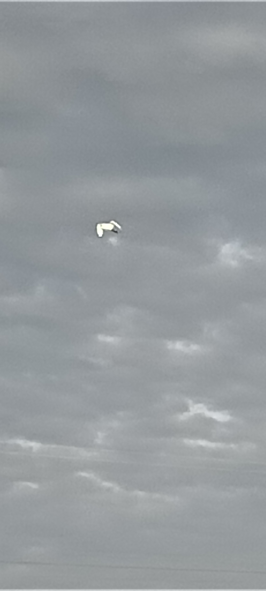 A white object, possibly a kite or a drone, is visible in the sky against a backdrop of grey, overcast clouds. The object appears to be suspended in the air, and its shape is somewhat indistinct due to the distance and lighting conditions. The surrounding environment suggests an outdoor setting, likely in the city of Lhokseumawe, Indonesia, given the atmospheric conditions and the presence of clouds. No people are visible in the image.