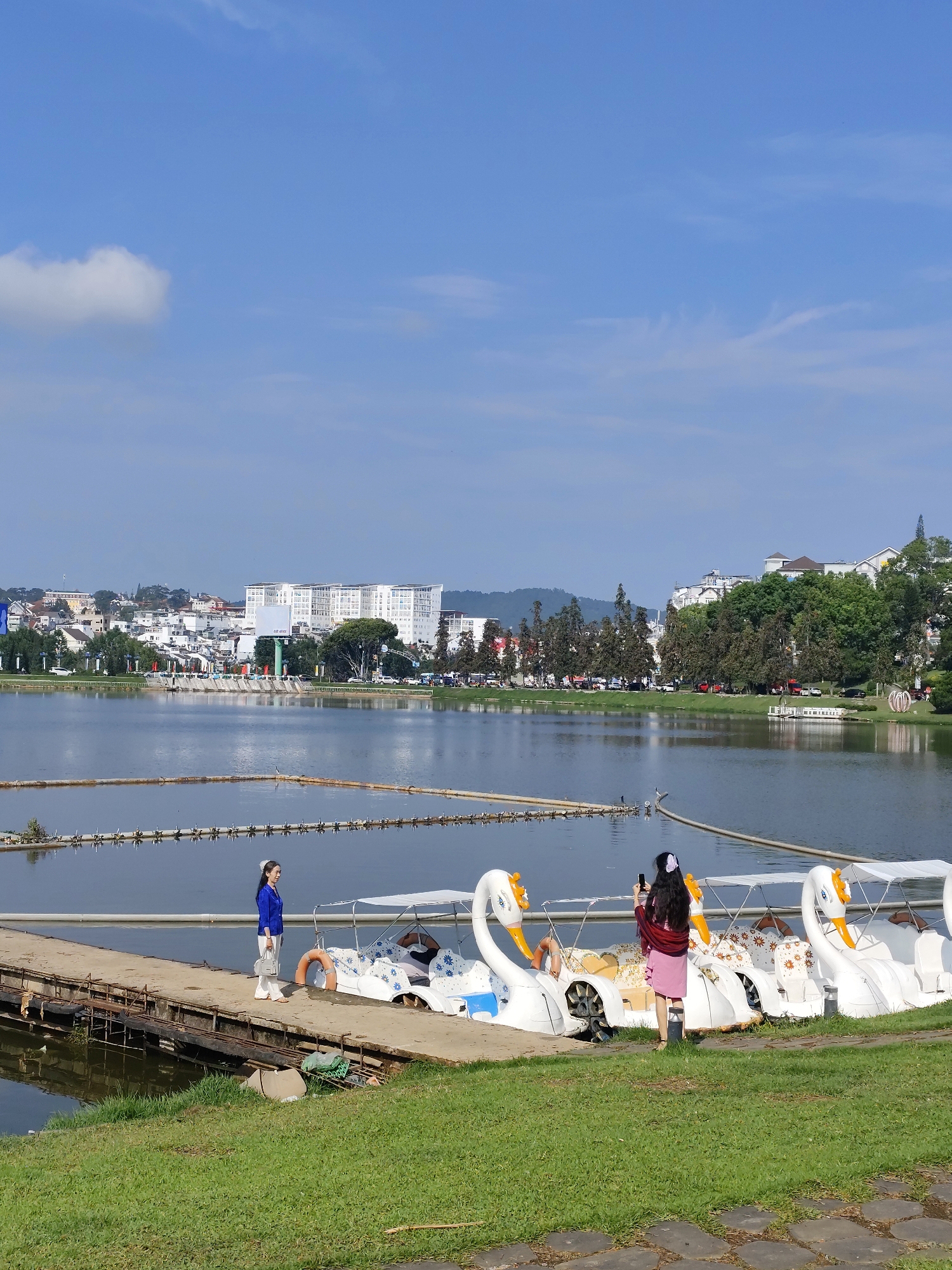 This daytime photograph captures a scenic view of Xuan Huong Lake in Da Lat, Vietnam, under a clear blue sky with a few wispy clouds. The foreground features a lush green grassy slope leading down to a wooden pier that extends into the lake.
On the left side of the pier, a woman dressed in a blue long-sleeved top and light-colored pants stands holding a light grey handbag, looking towards the right. To the right, another woman with long dark hair, wearing a pink skirt/dress and a red shawl over her shoulders, stands facing away from the camera. She is holding a smartphone, appearing to take a photograph or video of the lake and the numerous white swan-shaped pedal boats docked along the grassy bank and near the pier. These pedal boats feature canopies and some have floral patterns.
The calm lake occupies the midground, reflecting the sky and distant elements. Floating barriers or structures are visible in the water, particularly across the left side of the lake. The background reveals the cityscape of Da Lat, with various buildings, including prominent white multi-story structures, nestled among abundant trees and hills along the far shore. A large billboard with some indistinct text is visible in the distance. The overall atmosphere appears bright, pleasant, and recreational.