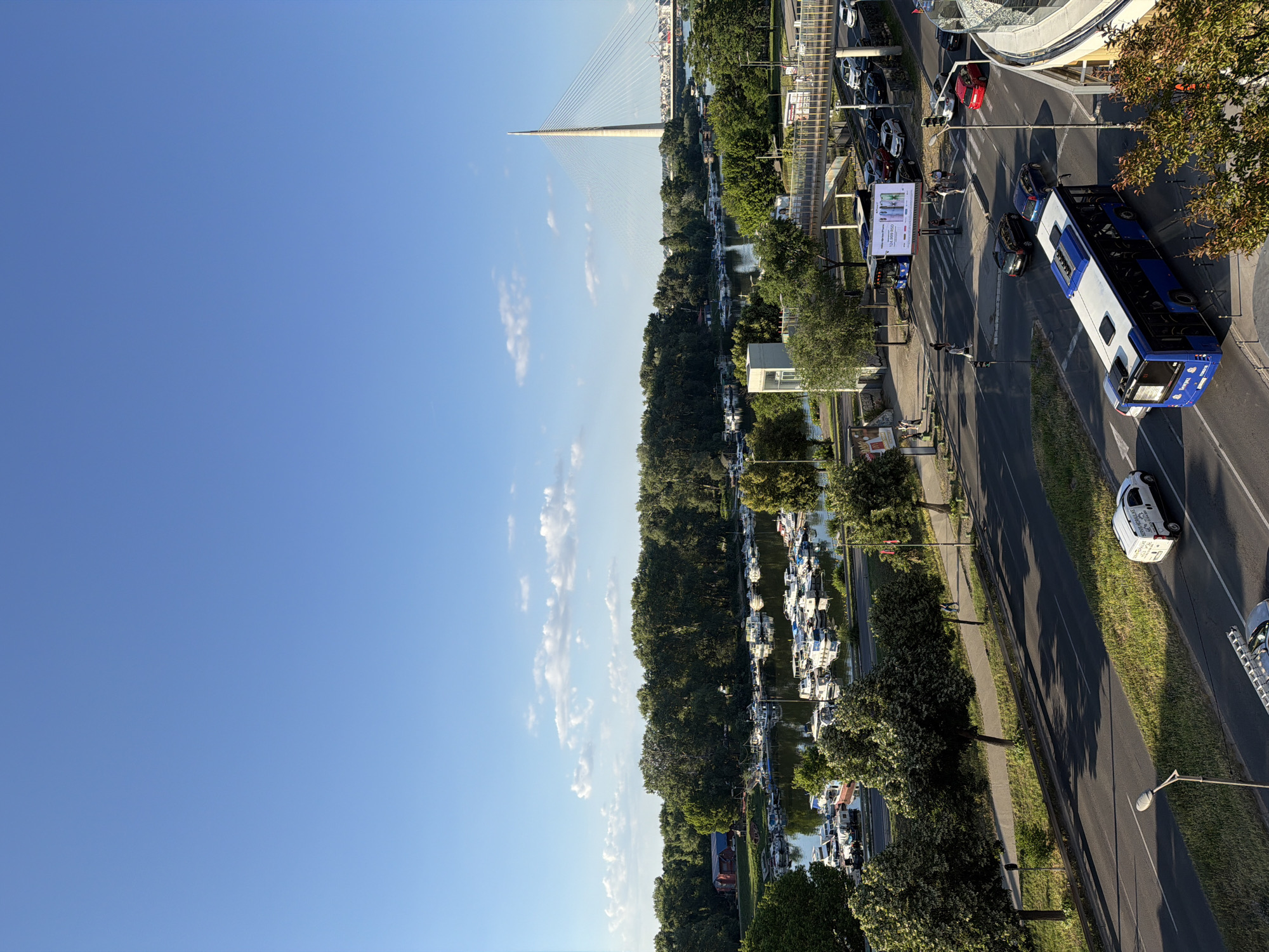 The image depicts a daytime scene in Cukarica Urban Municipality, Serbia, overlooking a river with a marina and a city skyline featuring a distinctive cable-stayed bridge. In the foreground, a busy street with multiple lanes of traffic is visible, including a blue public transit bus in the process of turning, several passenger cars, and a white utility van. Pedestrians are crossing at a marked intersection. The middle ground shows a tree-lined embankment leading to the river, where numerous docked boats, mostly smaller leisure craft, are clustered. Beyond the river, a dense line of trees forms the background, with the prominent cable-stayed bridge extending across the water in the distance, partially obscured by the trees and city structures. The sky is bright blue with scattered white clouds, suggesting fair weather.