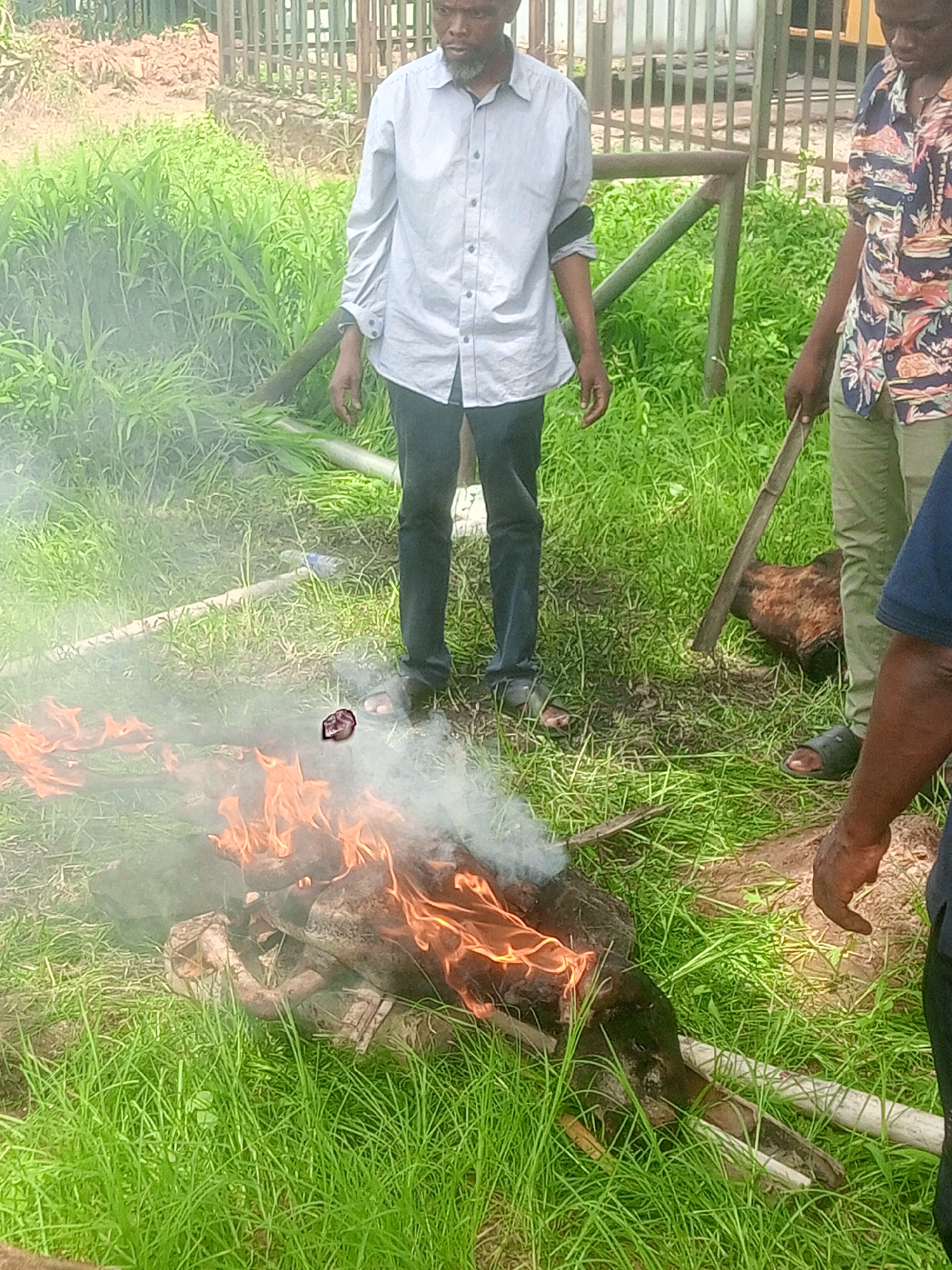 Three men are standing around a fire on a grassy lawn, seemingly in a public park in Gwarinpa, Nigeria. The fire is burning what appears to be a discarded animal carcass. One man is wearing a light-colored button-down shirt and dark pants, another a floral shirt and khaki pants, and part of a third man is visible on the right. The man in the floral shirt is holding a long stick. The ground is covered in green grass with some brown patches. A fence and some other greenery are visible in the background.