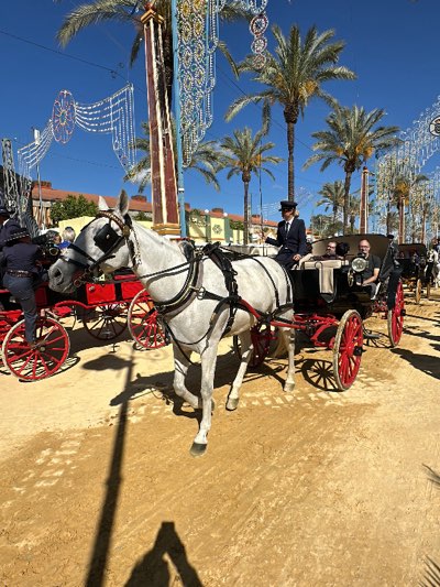 The image shows a horse-drawn carriage on a dirt road in Jerez de la Frontera, Spain. A white horse wearing blinders pulls a black carriage with red wheels. The carriage driver is wearing a dark suit and hat. Two passengers are visible in the carriage. In the background, there are other carriages, palm trees, and decorative lights strung overhead. The sky is blue, and the scene appears to be taking place during the day.