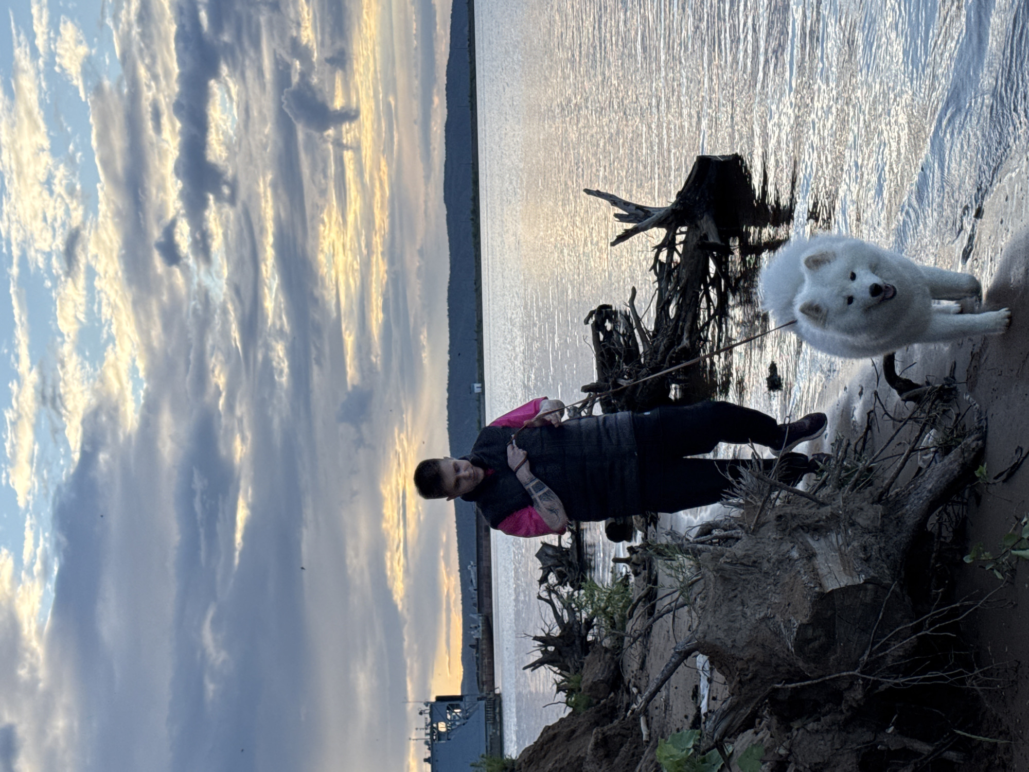 This media file captures a person and a white Samoyed dog on a sandy shore next to a body of water, likely during sunset given the warm, golden hues in the sky and the soft light reflecting on the water. The sky is filled with dramatic, streaky clouds, suggesting a dynamic weather pattern. In the background, a hazy, dark silhouette of land or buildings is visible across the water, and a large ship is docked or anchored to the left.
The person, facing towards the right of the frame, is wearing dark pants and a dark vest over a pink garment. They have tattoos visible on their arms. The Samoyed is to the right of the person, facing the camera with its mouth slightly open, appearing alert and happy. A leash connects the dog to the person. The shore is littered with driftwood and exposed tree roots, indicating a natural, possibly somewhat wild, environment. The overall mood is serene, with the natural elements of sky, water, and landscape creating a peaceful backdrop for the interaction between the person and their dog. The scene is set outdoors, by the water's edge, under a cloudy, colorful sky.