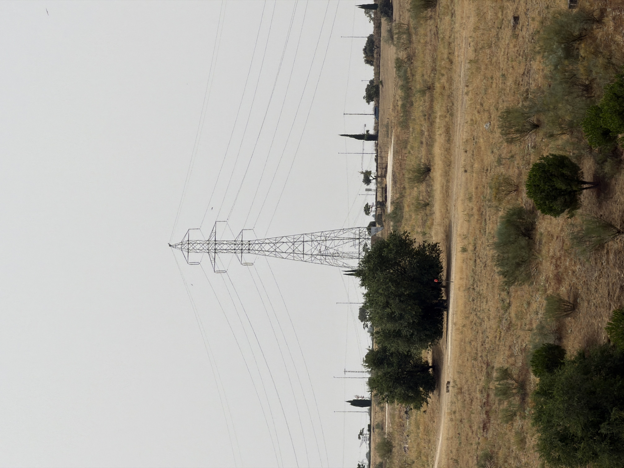 The image shows a power pylon standing in a rural landscape. The pylon is made of metal lattice and supports multiple power lines that stretch across the sky. The ground is covered with dry grass and scattered bushes, indicating a dry climate. In the foreground, there are several trees. In the mid-ground, a dirt path winds through the landscape, and a small red marker is visible. The sky is overcast with a pale, hazy light. The scene appears to be located in an area with power infrastructure, possibly on the outskirts of a populated area. Based on the context provided, this image is located in Las Rozas de Madrid, Spain.