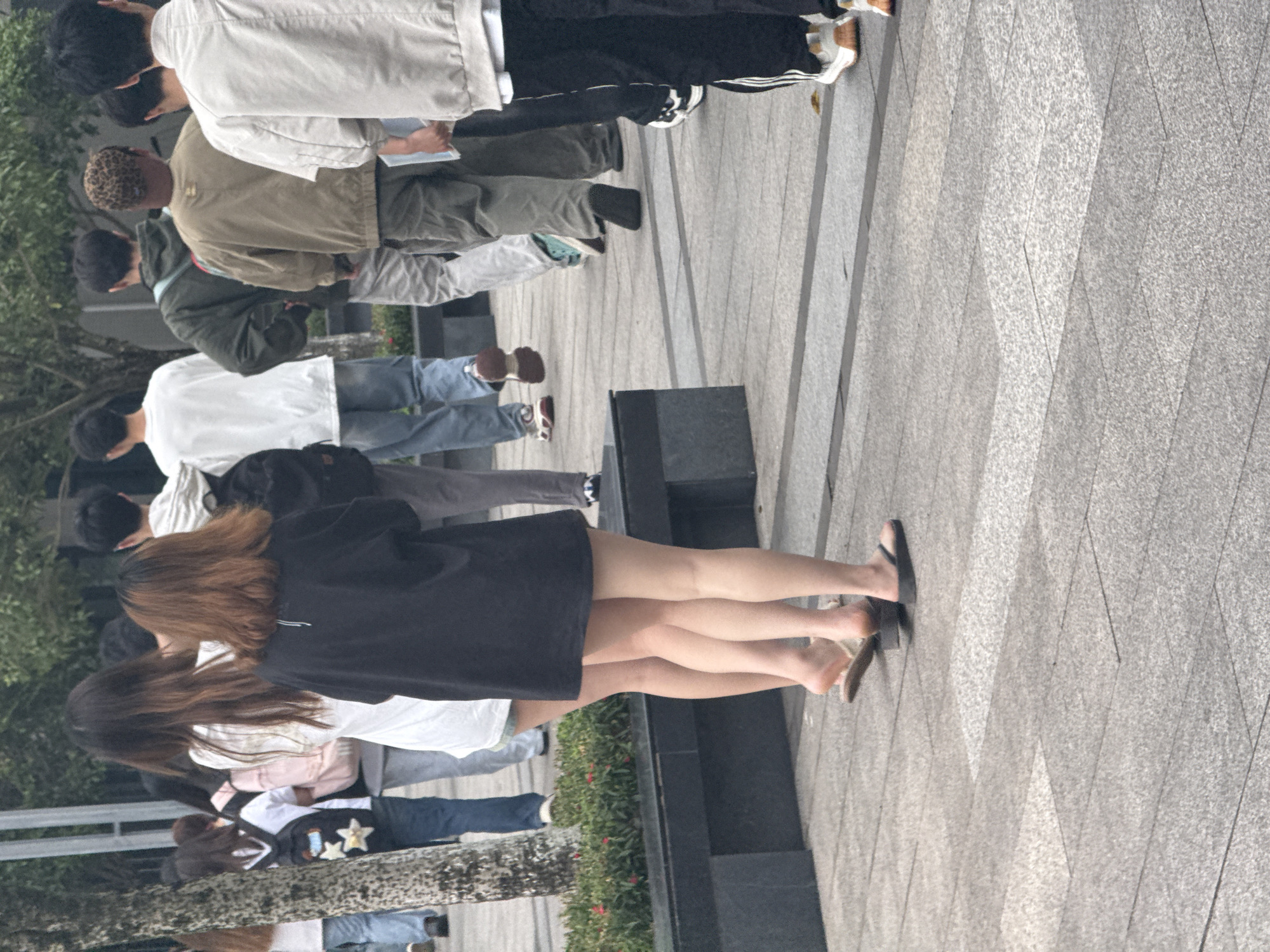 The image shows a group of people walking on a paved sidewalk alongside a street. There are at least ten people in the frame, mostly young adults, dressed in casual clothing. They are oriented in the same direction, moving away from the viewer. The location includes greenery such as low-lying bushes or shrubs along the sidewalk. The paving on the sidewalk suggests a public area. The available information does not include specific details about the location in Jiangjin, China.