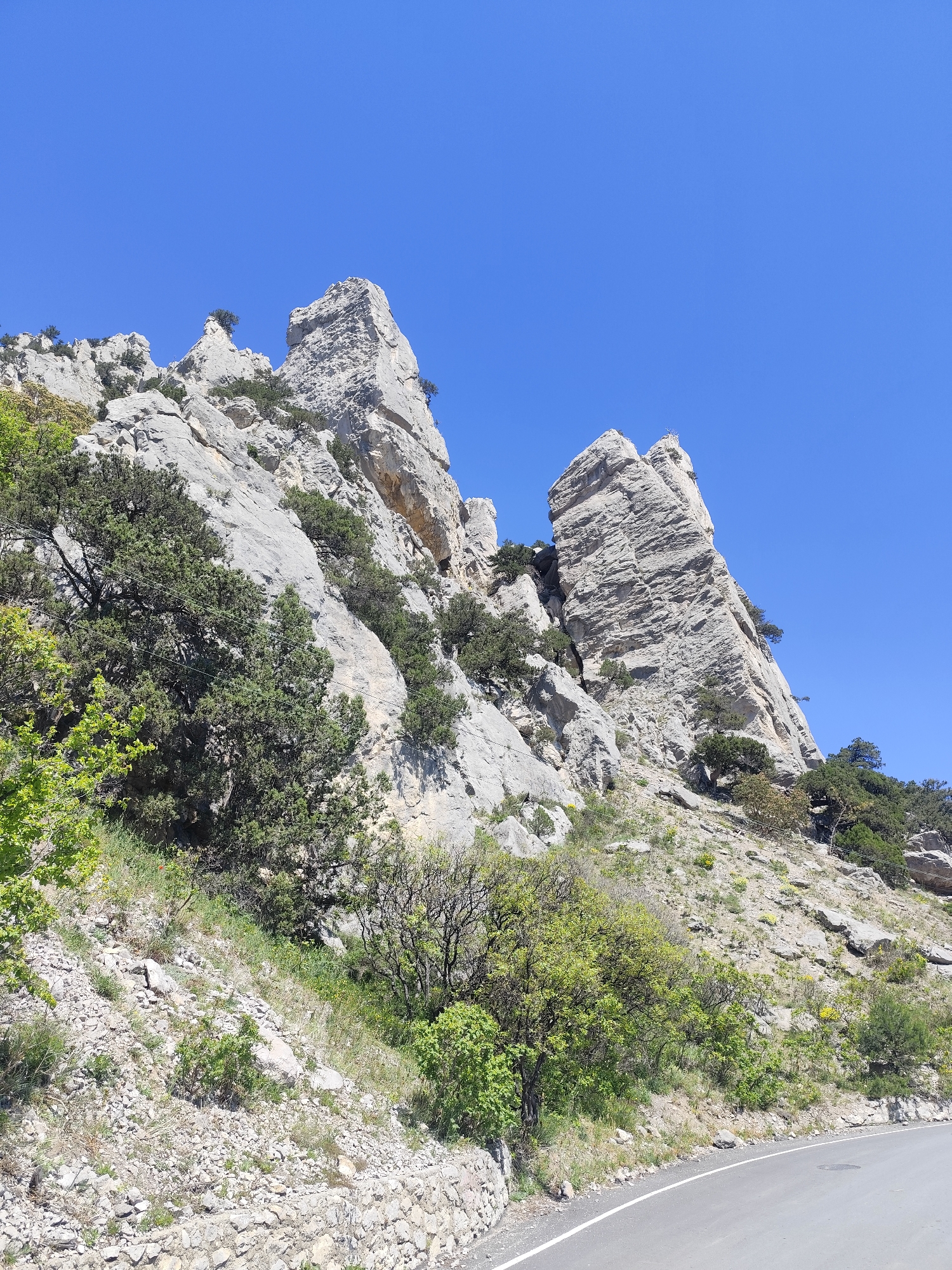 A low-angle, outdoor shot captures a rocky hillside alongside a road, set against a clear, cloudless blue sky. Two prominent, light-grey rock formations stand out, their surfaces marked with distinct stratification. Vegetation, including trees and shrubs, grows along the hillside, adding patches of green to the scene. A paved road, edged with a stone wall, runs along the lower part of the frame. The image has a natural, unfiltered look, depicting a landscape feature in an unspecified location.