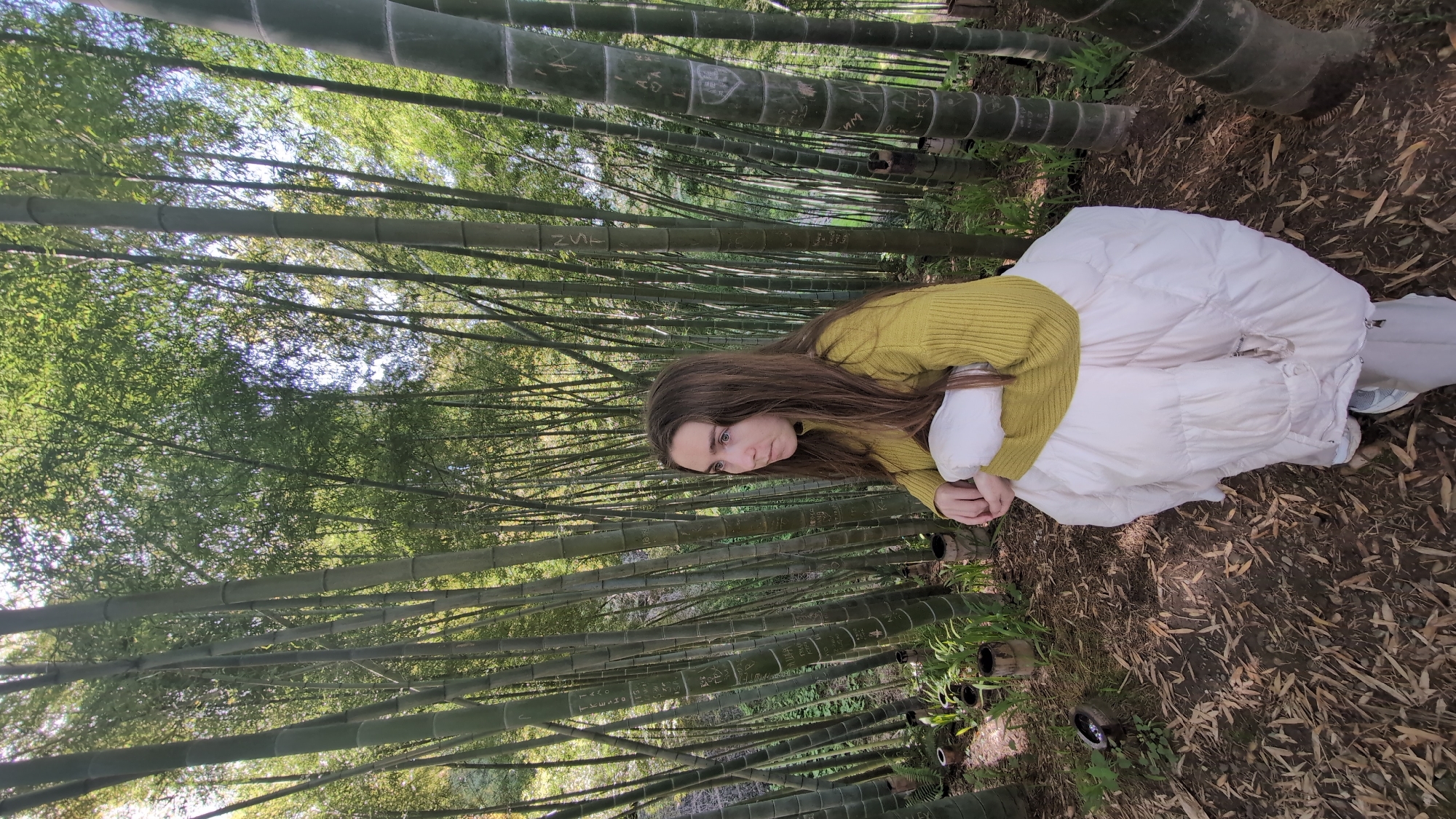A woman is photographed from above while sitting in a bamboo grove. She has long brown hair and is wearing a light yellow sweater and a white quilted jacket and pants. The bamboo stalks are green and dense, some marked with carvings and inscriptions. The ground is covered with fallen leaves and bamboo debris. This is likely the Batumi Bamboo Grove in Batumi, Georgia.