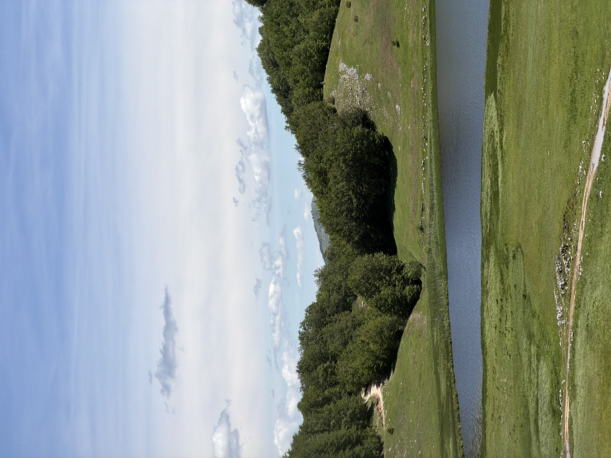 A serene natural landscape, characteristic of Pašina voda, Montenegro, is depicted under bright daylight. A calm, narrow body of water, possibly a river or lake, horizontally bisects the image in the mid-ground, reflecting a soft, grey-blue sky.
On the left bank, a dense, dark green forest of deciduous trees lines the water's edge and extends up a gentle incline. Patches of lighter vegetation or scattered rocks are visible within and beyond the tree line.
The right bank presents a wide expanse of vibrant green grassland, likely a pasture. Numerous small white specks, strongly suggesting grazing livestock such as sheep or goats, are scattered across this field, particularly near the water and along a winding dirt path visible on the far right. This path meanders through the grass, implying use by humans or animals.
The upper portion of the image reveals a clear, light blue sky adorned with scattered white cumulus clouds. The lighting is bright and even, indicating a sunny day, likely late morning or early afternoon. The overall scene exudes tranquility and natural beauty, showcasing a pristine pastoral environment. No visible text is present.