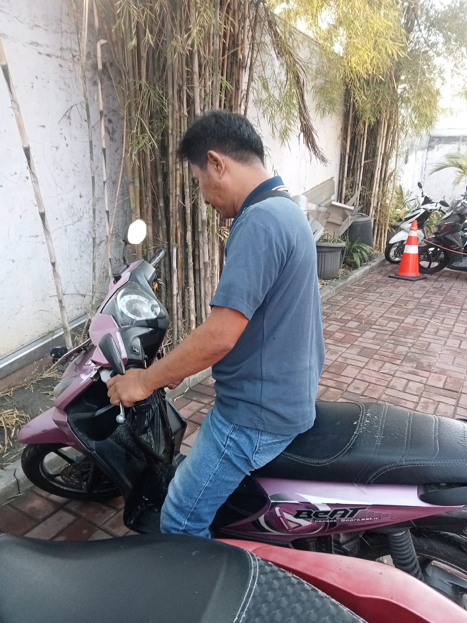 Memory