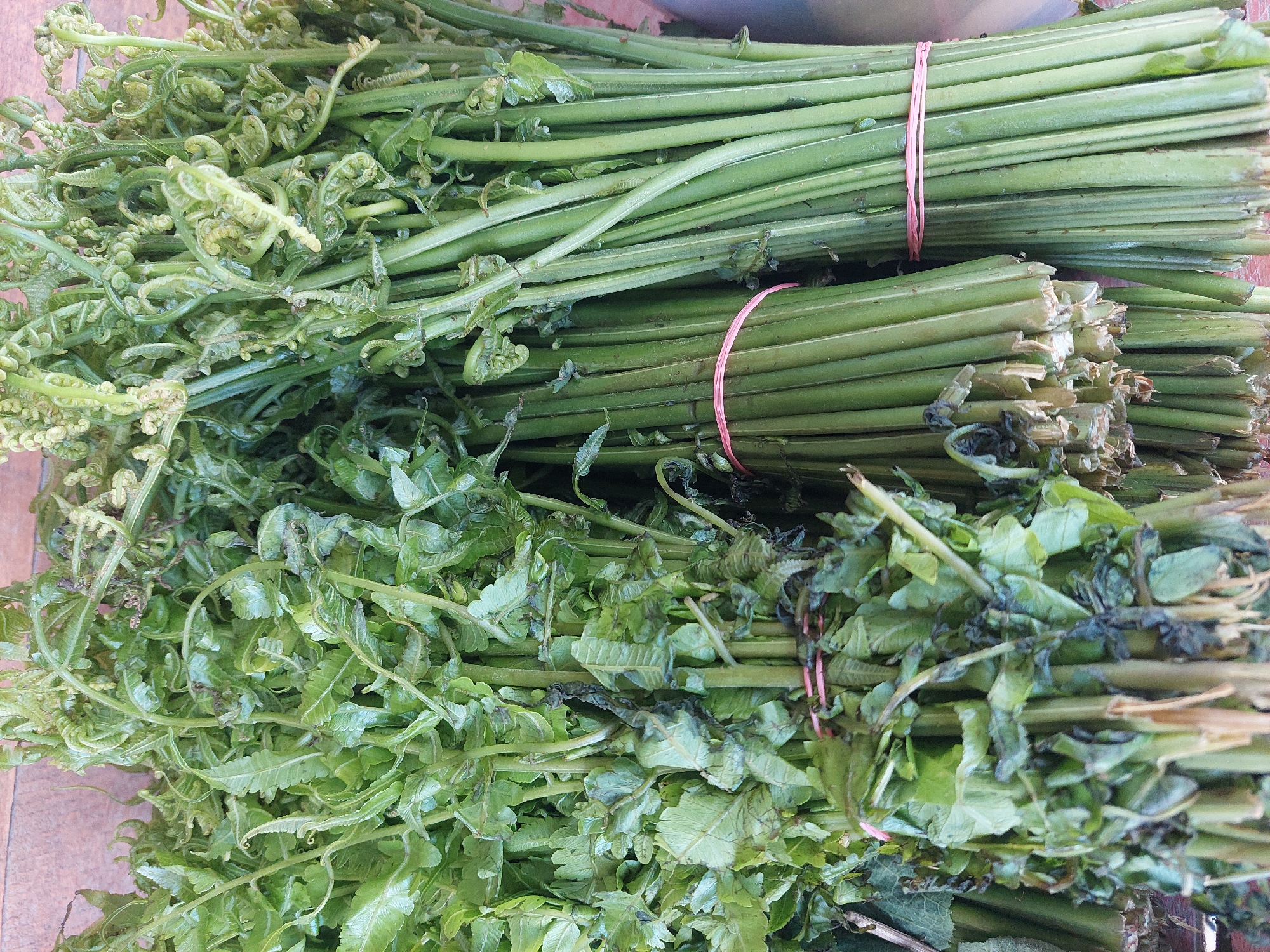 In the city of Parit Baru, Indonesia, two bunches of fiddleheads, a type of young fern frond, are displayed on a wooden surface. The fiddleheads on the left appear to have been trimmed or are a different variety, with some leaves and stems showing signs of wilting and discoloration. The bunch on the right consists of uniformly green, tightly coiled fiddleheads, bound together with a thin pink rubber band. The overall lighting suggests an outdoor setting, possibly a market stall.