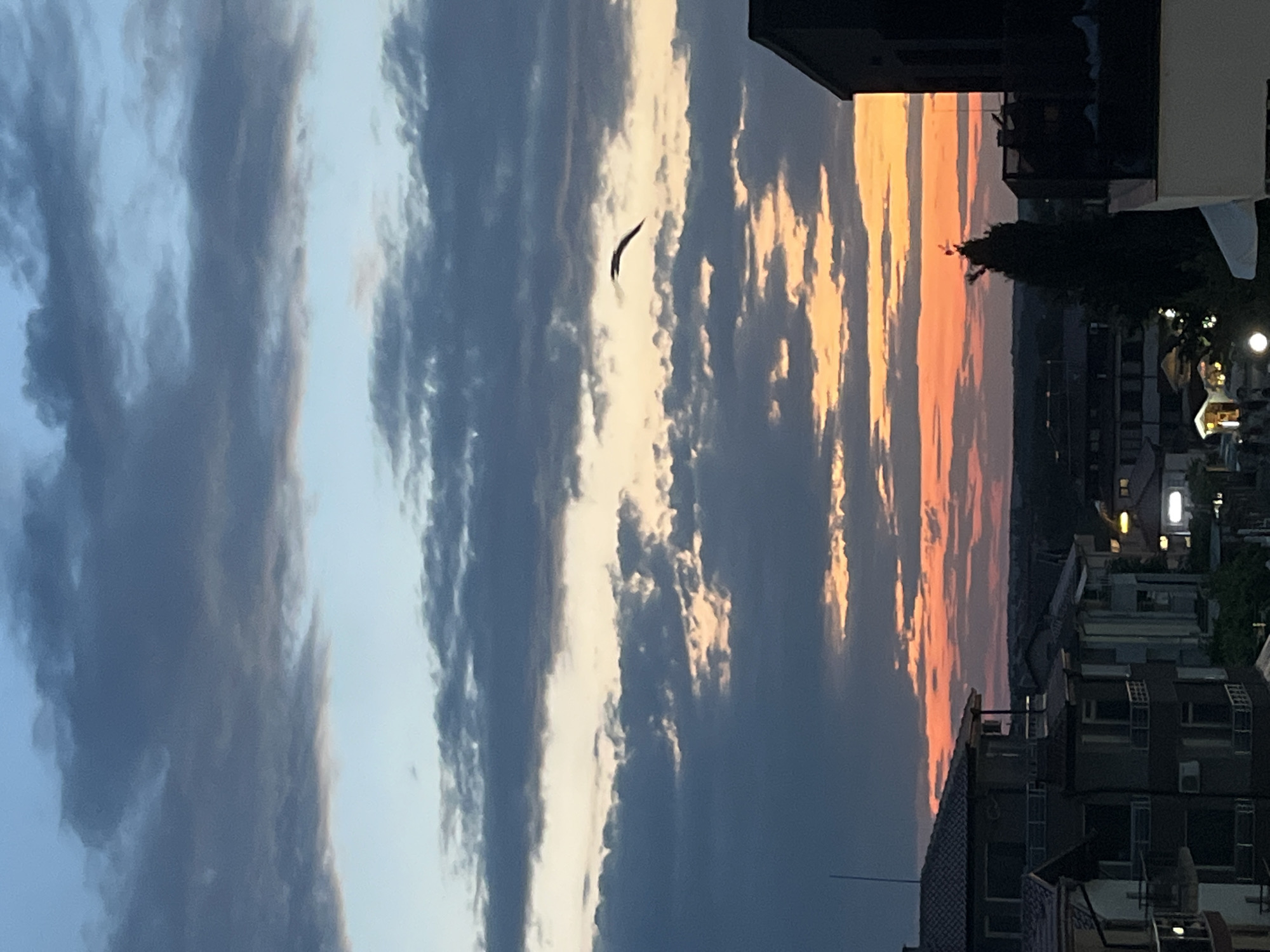 The image depicts a dramatic sunset over the coastal town of Lozenets, Bulgaria. The sky is a canvas of deep blues, grays, and vibrant oranges, with clouds streaked across, catching the last rays of the sun. A solitary bird is captured mid-flight against the colorful sky, its silhouette stark against the illumination. In the foreground, the rooftops and upper stories of residential buildings are visible, their architecture suggestive of a European seaside town. Some buildings exhibit dark tiled roofs and balconies, with lights starting to twinkle from some windows and streetlights illuminating the lower levels. The landscape beyond the town appears as a darkened expanse, hinting at the proximity of the sea or rolling hills. The overall impression is one of a serene yet dynamic evening scene unfolding in Lozenets.