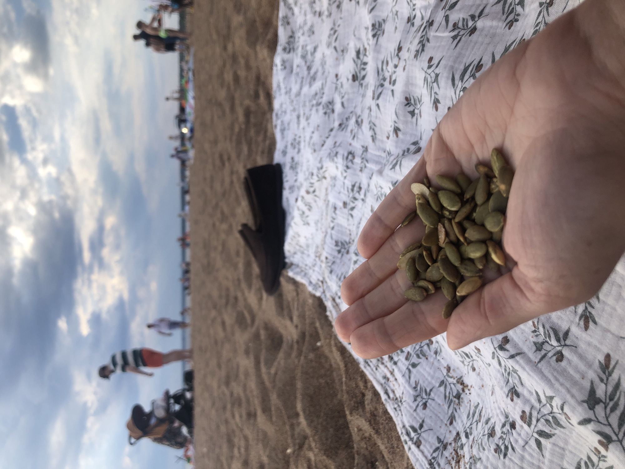 The image depicts a first-person perspective on a sandy beach in Sestroretsk, Russia, under an overcast sky. In the immediate foreground, a light-skinned hand, likely a right hand, holds a handful of approximately thirty to forty green, shelled pumpkin seeds. This hand rests slightly above a white or light-colored patterned blanket, which features a repeating design of green and brown leaves or foliage. The blanket is partially spread on the sand and appears to be made of a crinkled or textured fabric. To the left of the blanket, a distinct ripple pattern is visible in the sand.
To the upper right of the blanket, a single dark brown or black loafer-style shoe is resting on the sand, suggesting a pair of footwear. The midground and background of the image are significantly out of focus, rendering specific details indistinct. The environment is an expansive sandy beach. In the blurred midground, several individuals are visible. One prominent figure, a man in a horizontal striped shirt (white and green/dark stripes) and orange or red shorts, stands near a dark-colored baby stroller with a tan or brown canopy. Further down the beach, additional blurry figures of adults and possibly children are scattered, engaged in various indistinct activities typical of a beach setting. The horizon line is visible in the far background, where the beach meets what appears to be water or a distant landmass. The sky above is largely covered with grey and white clouds, indicating an overcast or partially cloudy day.