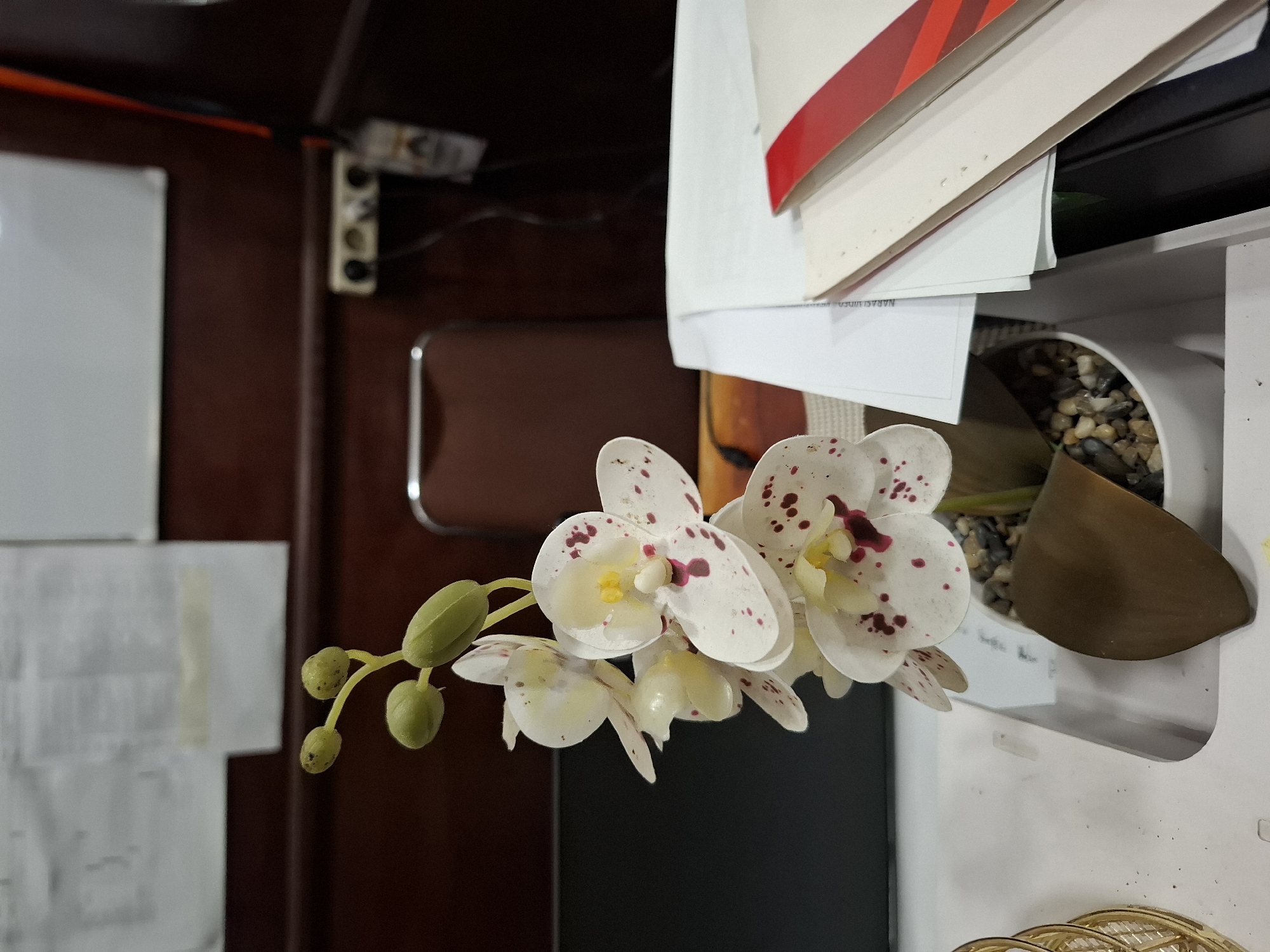 The image shows a close-up of a white orchid with red spots, placed in a white pot filled with small stones. The pot sits on a white surface or shelf. Behind the orchid, there are papers stacked. The background includes a dark brown wooden surface, possibly a desk or cabinet, with a white board partially visible on the left. An electrical outlet is mounted on the wooden surface. The setting appears to be an indoor workspace, likely an office. There is no information to suggest the location is in Lhokseumawe, Indonesia.