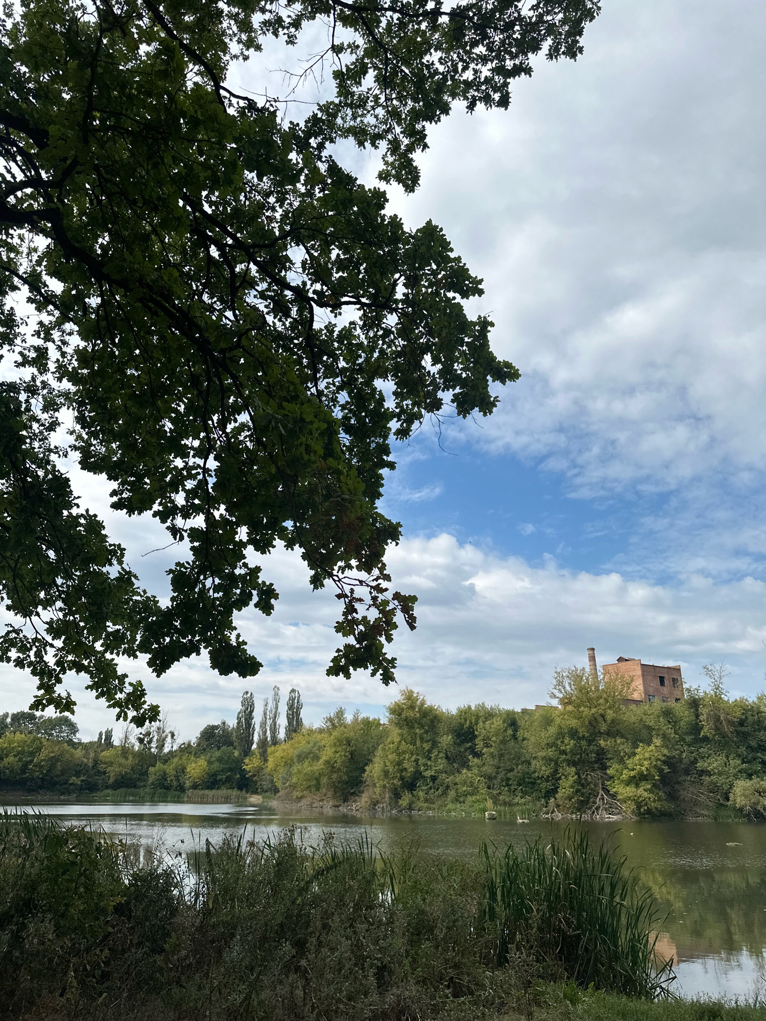 The image depicts a serene natural landscape bordering an industrial structure. In the foreground, dense green foliage, including large tree branches with leaves, frames the scene from the top left. Beyond this, a tranquil body of water, likely a lake or river, stretches across the middle ground, reflecting the overcast sky. The water is fringed by reeds and other vegetation. Across the water, a lush green treeline dominates the horizon, punctuated by several tall, slender trees. Perched atop a hill behind the trees is a dilapidated brick building with a prominent smokestack. The building appears to be an old industrial facility. The sky is a mix of white clouds and patches of blue, suggesting a partly cloudy day. The overall impression is one of nature reclaiming a man-made structure. This scene is located in the vicinity of Makiv, Ukraine.