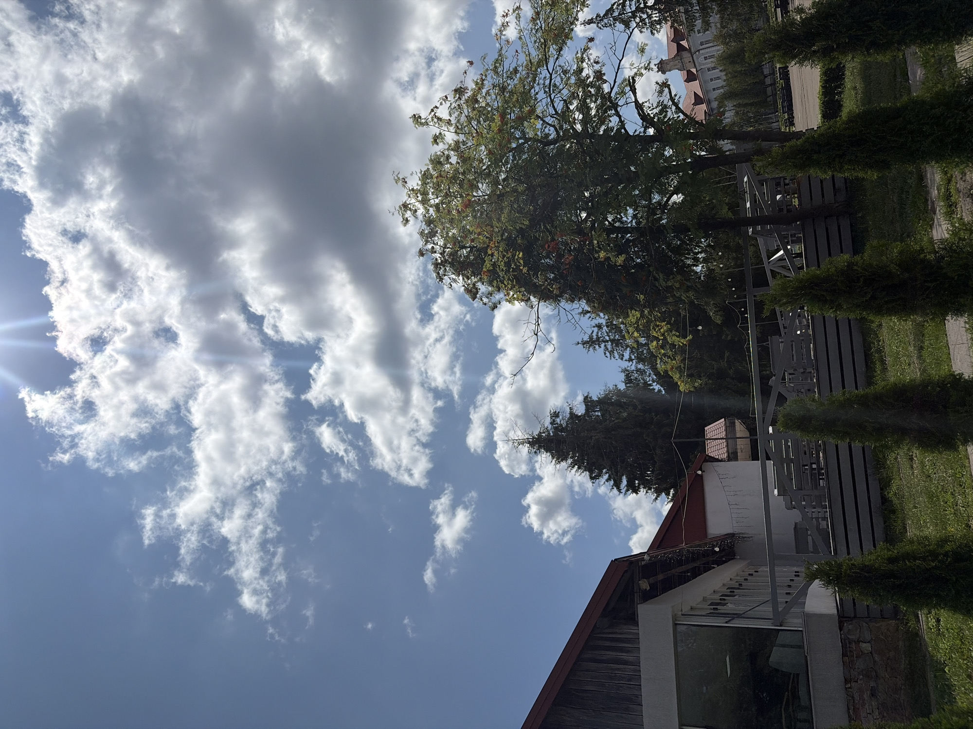 A bright, sunny day with scattered clouds is captured in this medium-angle shot. The foreground features a patch of green grass with several tall, slender evergreen trees planted in a line. Behind the trees, a low, grey wooden fence separates the grassy area from a paved walkway and an outdoor seating area with grey picnic tables and benches. To the left, a building with a wooden exterior and a red roof is partially visible, with large glass windows and white trim. Beyond this structure, more trees, including a tall, dark green fir tree and a deciduous tree with reddish berries, are present. In the background, a large, white building with a red-tiled roof and multiple windows stands against a backdrop of more trees and a bright blue sky dotted with white and grey clouds. The sun is shining brightly, creating lens flares in the upper right portion of the sky.