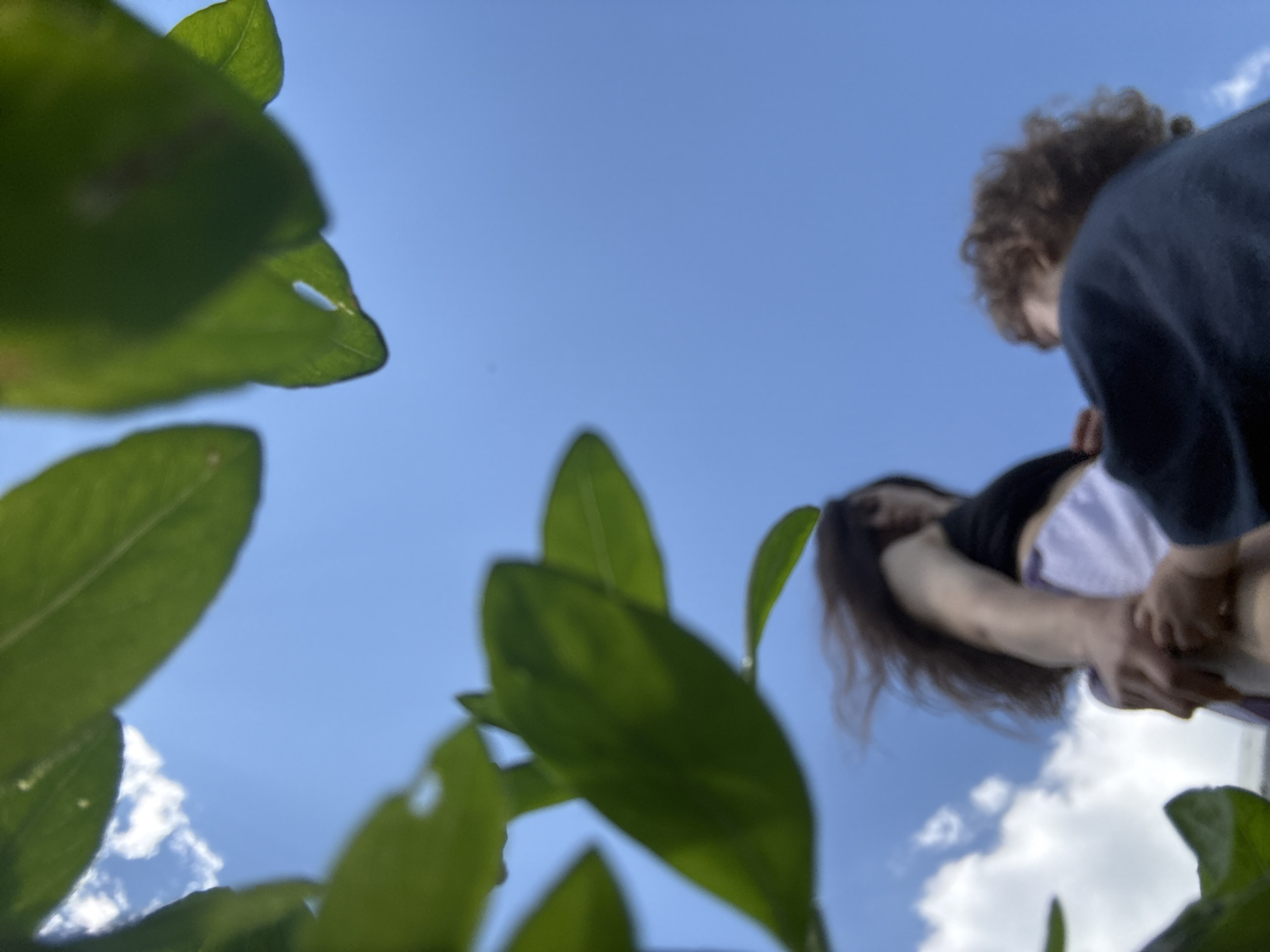 Two individuals are captured from a low angle, looking up towards a clear blue sky dotted with white clouds. Lush green leaves from an overhead plant frame the top and left side of the image, obscuring parts of the sky. One individual, with dark, windblown hair and wearing a black top and white shorts, is the more prominent figure. Their arms are held in front of them, with another hand gripping theirs. The second individual, to the right, is only partially visible and appears to have curly brown hair and is wearing a dark garment. They are reaching towards the first individual. The overall impression is a candid moment outdoors, possibly in a park or garden, under a bright, sunny sky.