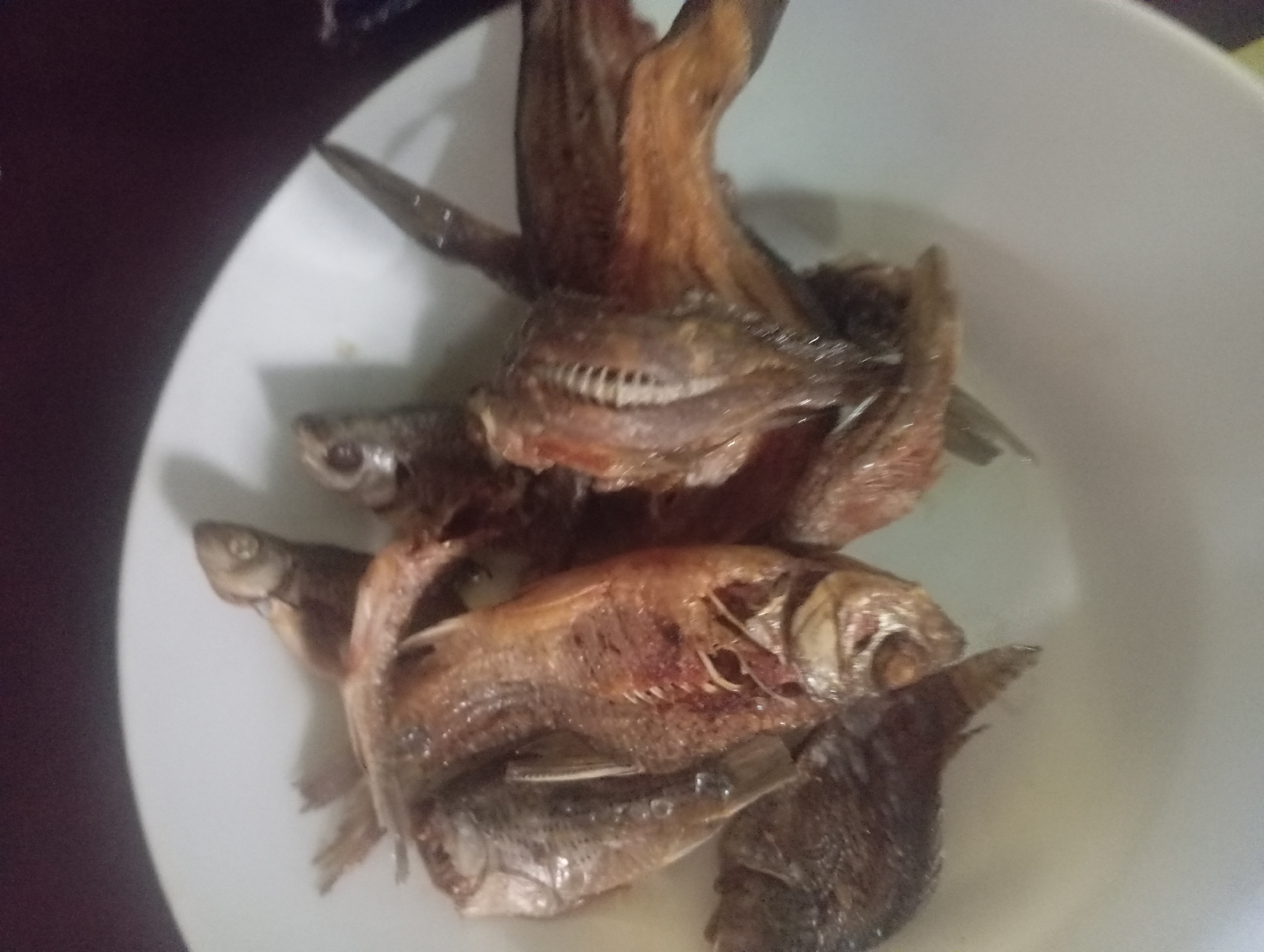 A close-up, overhead shot showcases a white plate filled with several small, whole, fried fish. The fish are golden brown and appear to be seasoned. They are arranged in a slightly overlapping, natural manner, with their tails pointing in various directions. The lighting is dim, creating some shadows on the plate. The background is dark, likely a table or countertop, and slightly out of focus. The scene is likely a meal being served in a home or restaurant in Rejosari, Indonesia.