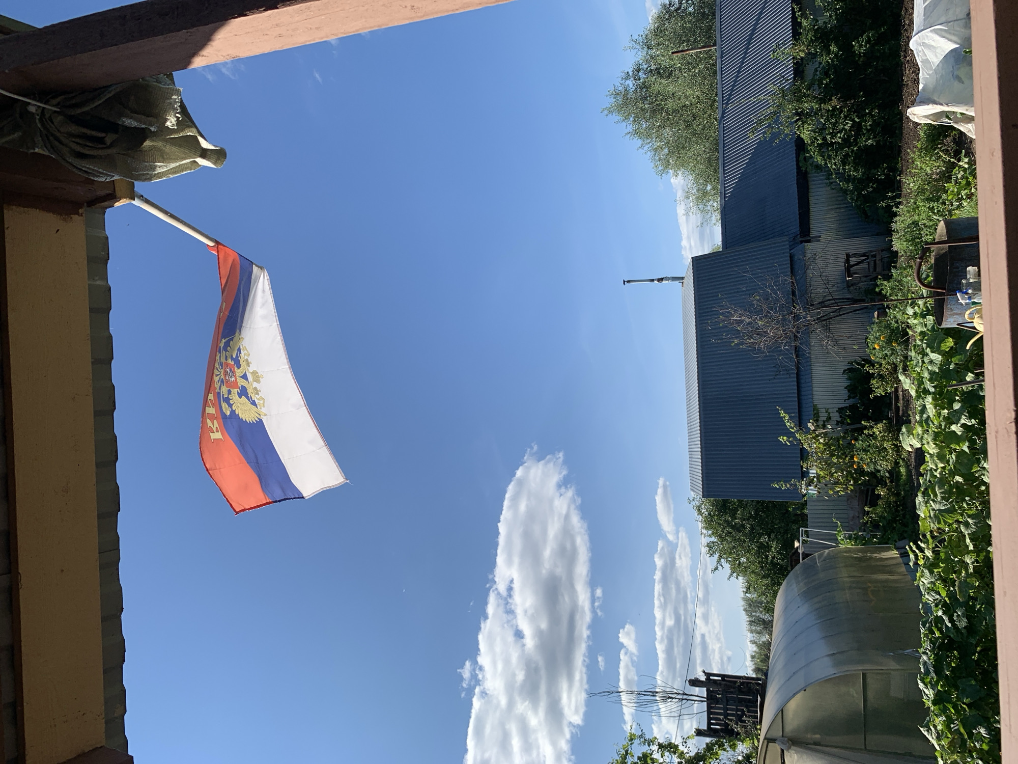 The image depicts a view of a yard in Chaikovsky, Russia, on a clear day. A Russian flag, with its distinctive red, white, and blue tricolor and double-headed eagle emblem, is prominently displayed, fluttering in the wind. In the background, a rural setting is visible, with various structures, including a greenhouse, a fence, and buildings with corrugated metal roofs. Lush green vegetation, including plants and trees, fills the foreground and midground, suggesting a well-tended garden. The sky is a vibrant blue with scattered white clouds. The scene appears to be a domestic outdoor space, possibly a dacha or a private residence in a suburban or rural area of Chaikovsky. No people are visible in the image.