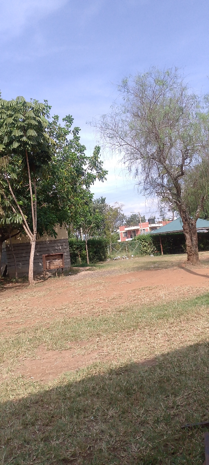 The image displays an outdoor environment located in Bondo, Kenya, under a light blue sky with sparse, wispy clouds. The ground in the foreground consists of reddish-brown earth mixed with patches of green grass, with a distinct shadow covering the lower right quadrant. On the left, a light-colored building with a grey block foundation features a rectangular wooden frame affixed to its exterior. Adjacent to this building are two trees with green foliage: one with broad, fan-like leaves and another with smaller, denser leaves. To the right, a large tree with a thick, textured trunk and thin, drooping branches bearing sparse green leaves stands prominently. A structure with a dark green, possibly corrugated, roof is partially visible behind this large tree. A green wire fence stretches across the midground, separating the immediate area from the background. Behind the fence, several white plastic bags or items of refuse are scattered on the ground. In the far background, a multi-story building with reddish-brown walls and a dark roof, equipped with multiple black water tanks on its rooftop, is visible above a line of green vegetation. No individuals, animals, or active subjects are present in the scene.