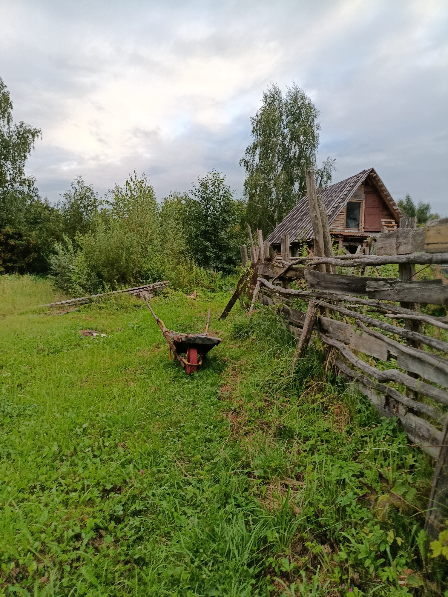 An outdoor, medium-shot, eye-level view depicts a wheelbarrow in a grassy area next to a rustic wooden fence and an dilapidated wooden structure. The wheelbarrow is dark with red handles and a red wheel. It is positioned on the left side of the image, angled towards the right. The wooden fence runs diagonally from the lower right corner to the middle left of the image. It is constructed from rough-hewn logs and branches, showing signs of age and weathering. Behind the fence, on the right side of the image, is a wooden building with a gabled roof. The building appears to be in disrepair, with missing or broken window panes and weathered wooden siding. The roof is made of corrugated metal. Green trees and foliage surround the scene, with a dense treeline in the background. The sky is overcast with grey clouds. The location is identified as Verea, Russia.
