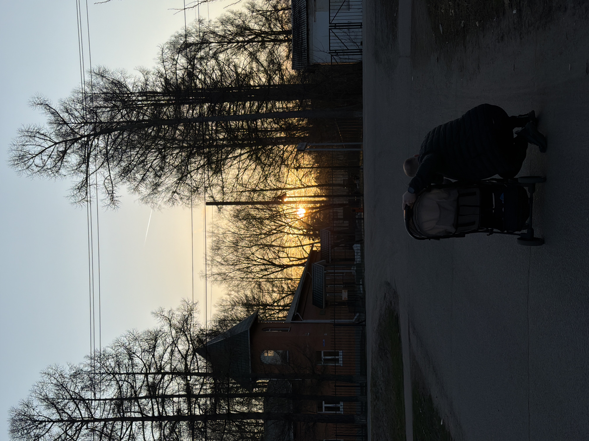A horizontal image shows a man with a stroller on a street in Reshetnikovo, Russia.
The man, wearing a dark jacket, is bent over the stroller on the right side of the frame.
On the left, silhouetted bare trees rise against a sunset sky. Behind the trees, a two-story brick building with a turret is partially visible. There are also wires above the trees.
The road is asphalt and occupies the right of the scene.