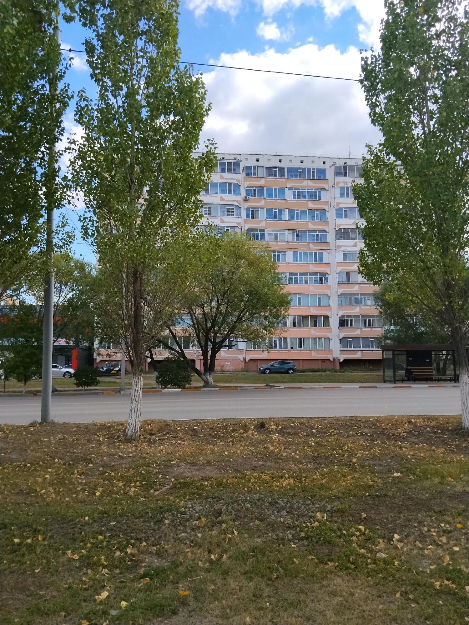 The image depicts a street scene in Kokshetau, Kazakhstan, with a multi-story apartment building as the prominent background element. The building is light-colored, likely white or beige, with numerous windows arranged in a grid pattern. It appears to be an older Soviet-style apartment block. In front of the building, there is a row of trees, some of which are tall and slender with green foliage, and one appears to be a birch tree with white bark. The ground in the foreground is covered with grass and fallen yellow leaves, suggesting it might be autumn. A paved road runs horizontally across the middle of the image, with a sidewalk or grass verge separating it from the foreground. A bus stop shelter with a bench is visible on the right side of the image. There are a couple of cars parked or driving on the road, and a street lamp is visible on the left. The sky is blue with scattered white clouds. The scene is generally quiet and ordinary, showing a typical urban residential area.