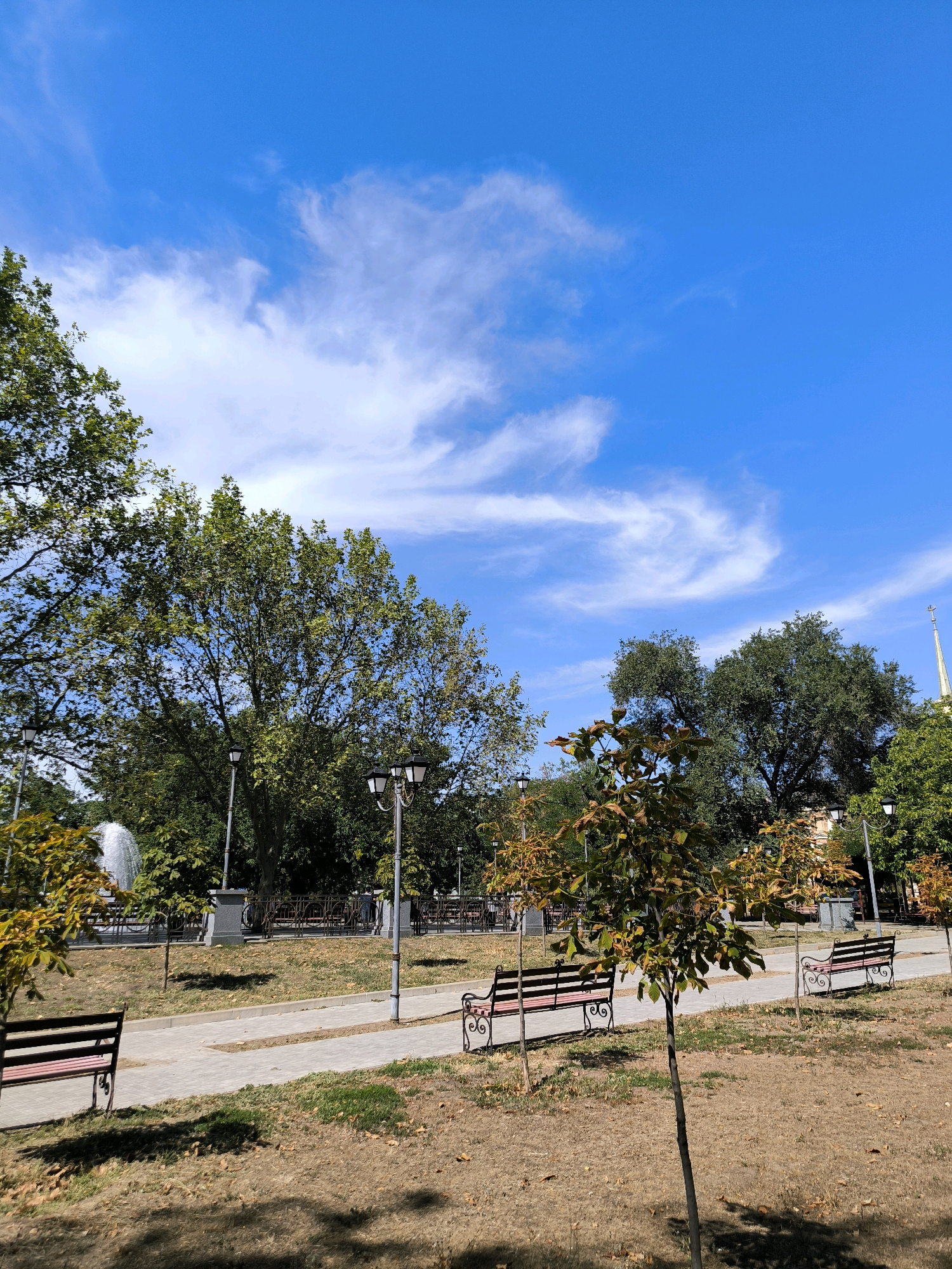 The image depicts a park scene in Mykolaiv, Ukraine, under a bright blue sky with wispy white clouds. The foreground is dominated by dry, parched grass with scattered autumn leaves. A paved walkway runs through the park, with several benches lining its sides. In the mid-ground, young trees with autumnal foliage are interspersed with larger, mature trees that provide shade. Several lampposts are visible along the walkway. In the background, a fountain sprays water, and more trees form a dense backdrop. The distant skyline shows a building with a spire. No people are visible in the frame.