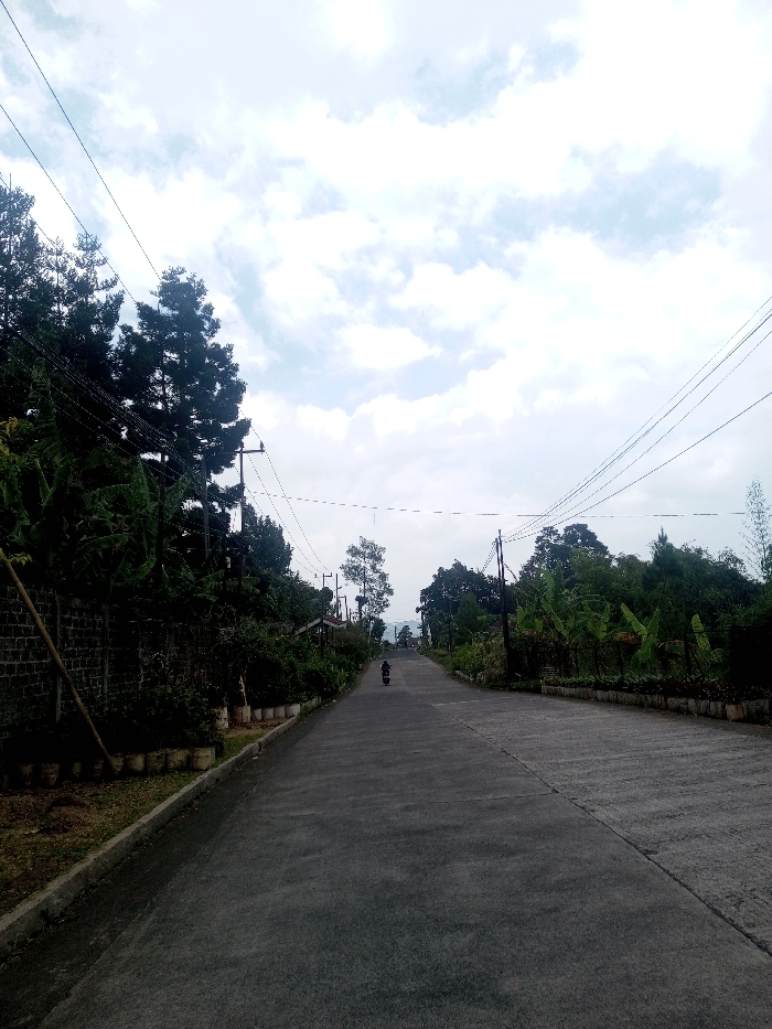 This image depicts a paved, two-lane road in Kalchini, India, extending into the distance under an overcast sky. A lone individual on a dark-colored motorcycle or scooter is visible in the mid-ground, traveling away from the viewer. The road appears to be dark gray concrete, with visible seams.
On the left side of the road, a dark brick or stone wall is partially obscured by dense green foliage, including tall, dark evergreen trees and broad-leafed plants. A line of small, light-colored pots runs along the curb. Multiple utility poles with overhead wires are present on this side, some wires extending across the road.
On the right side, the road is bordered by a mix of dense green vegetation, including banana plants and other trees. Utility poles and overhead wires are also present on this side, running parallel to the road. In the background, beyond the vegetation and scattered small structures, distant hills or mountains are faintly visible beneath the cloudy sky. The overall lighting is diffuse daylight.